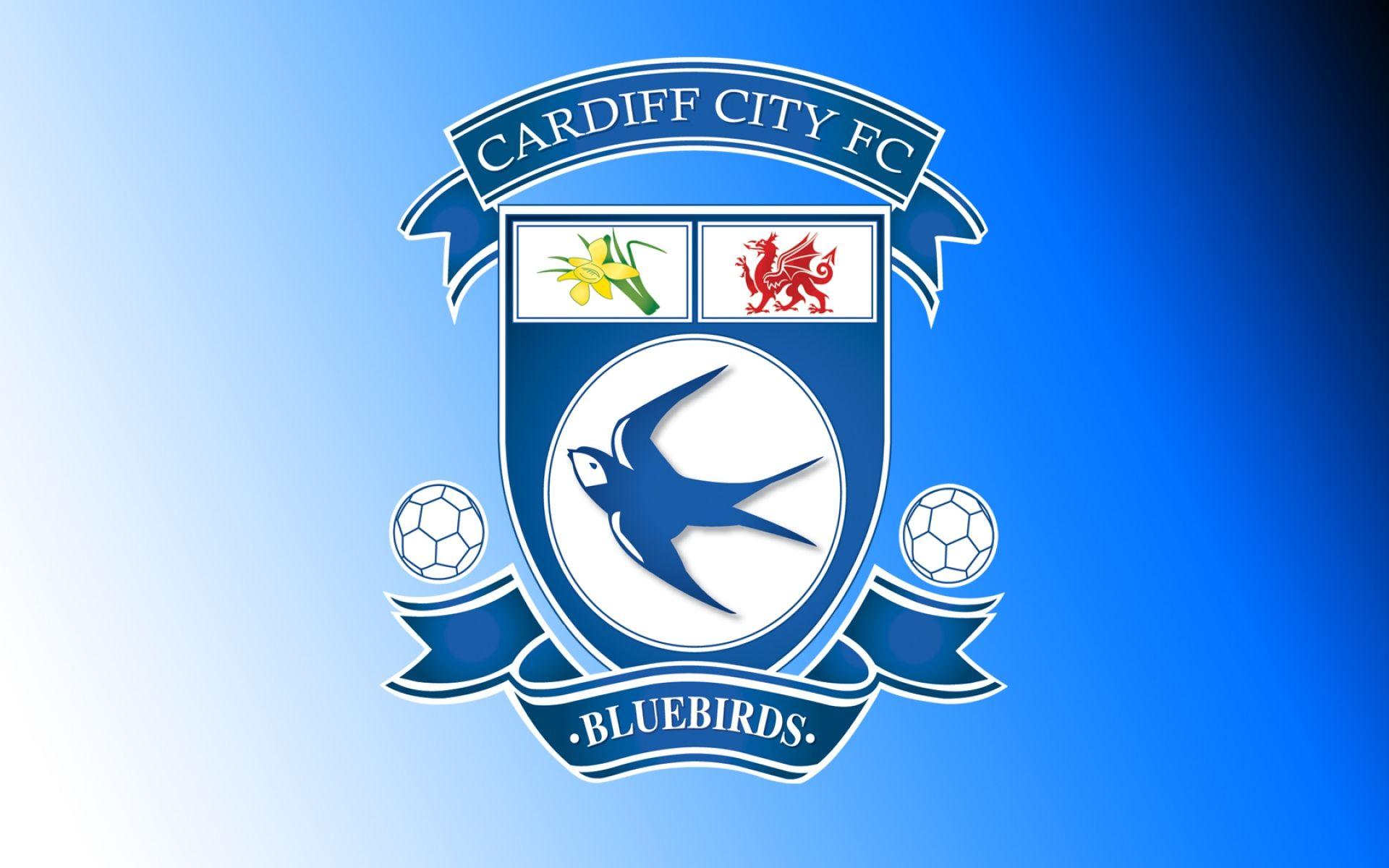 Cardiff City Wallpaper HD