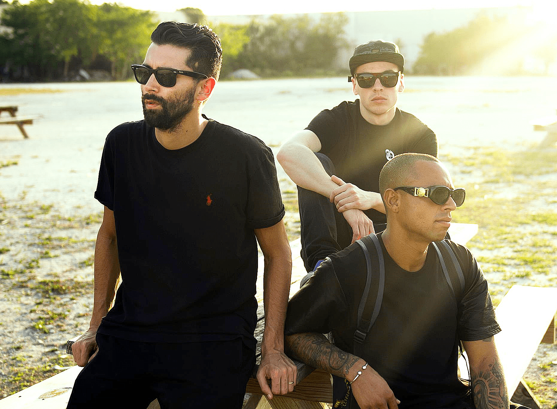 Yellow Claw Wallpaper Image Photo Picture Background