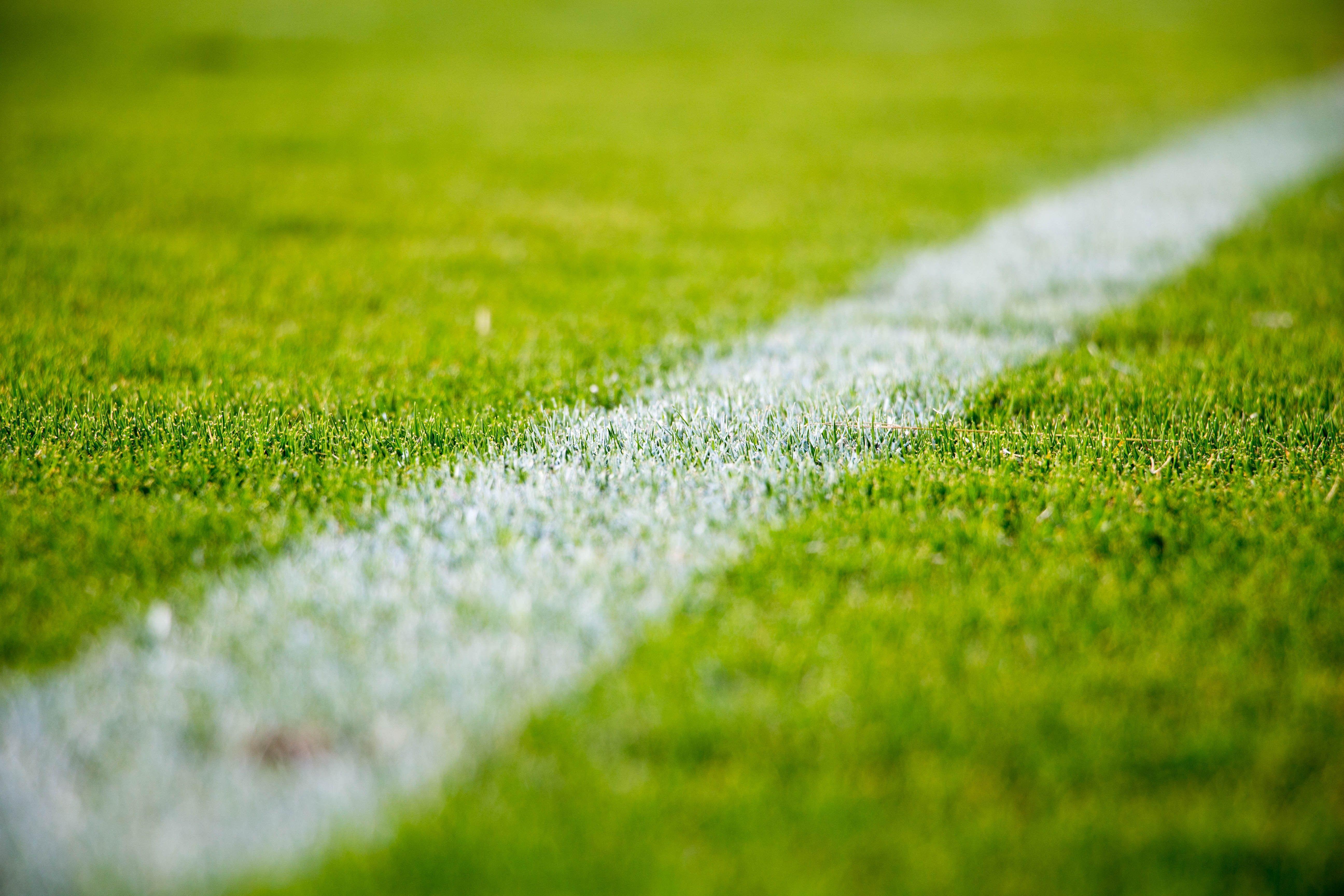 grass, Soccer Field Wallpaper HD / Desktop and Mobile Background