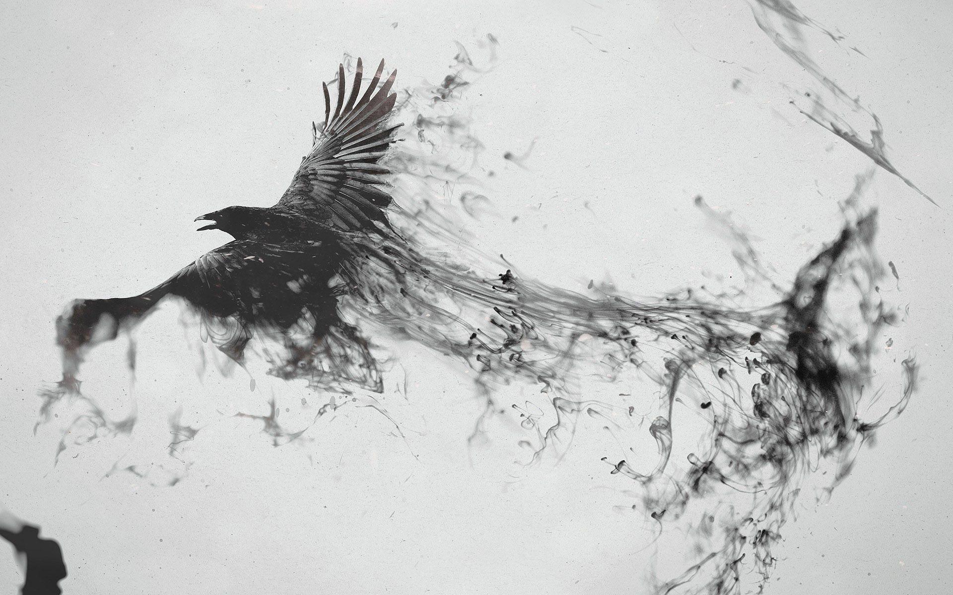 a raven flying up black water art fulls creen