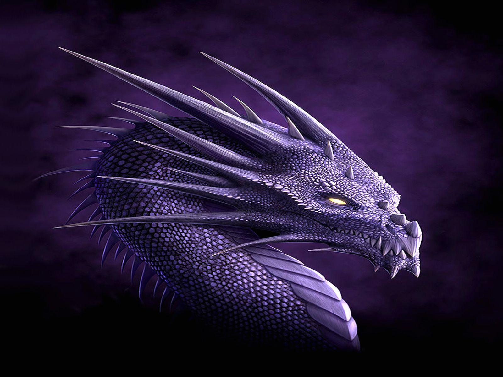 purple dragon Wallpaper Background