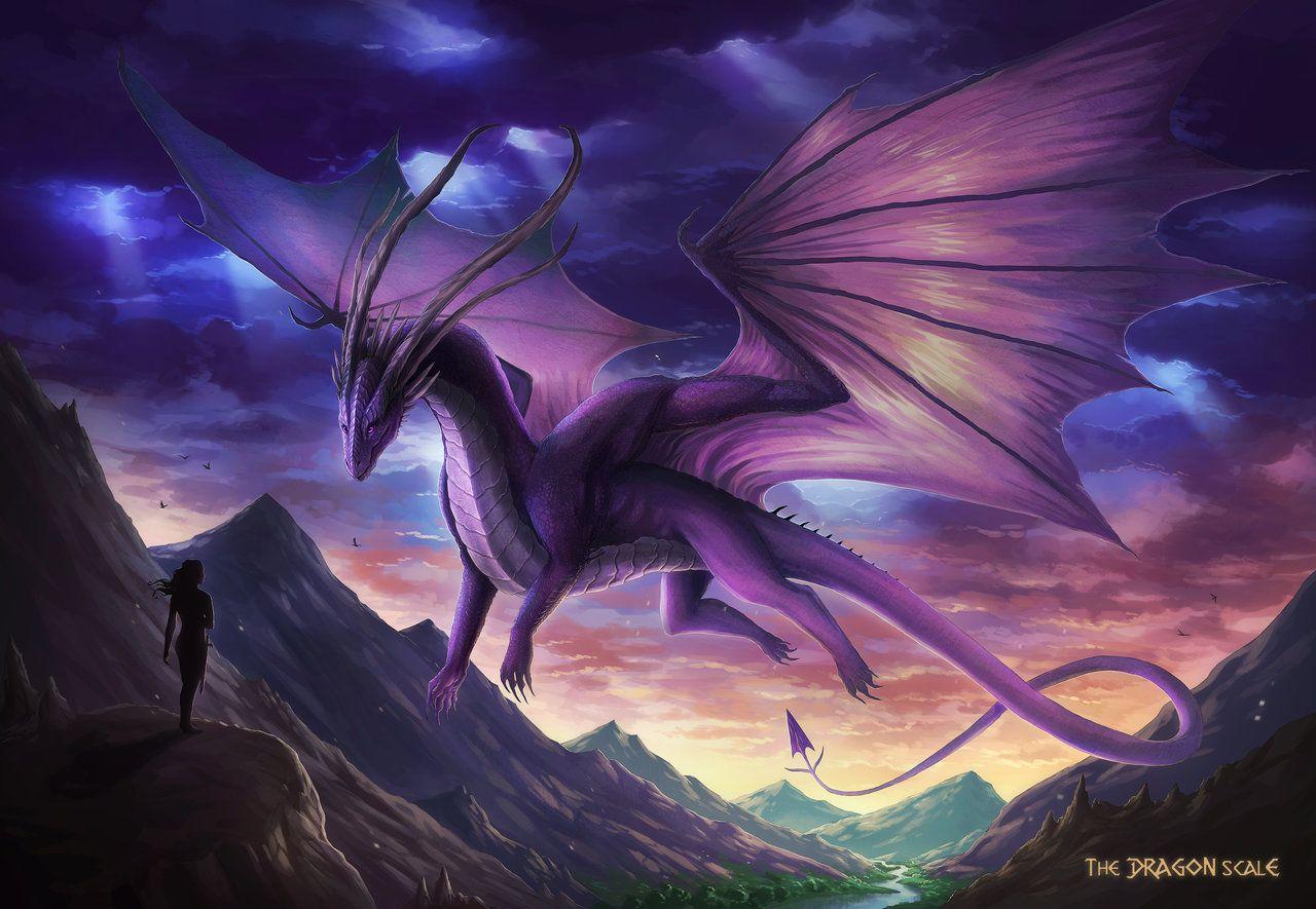 purple dragon travel