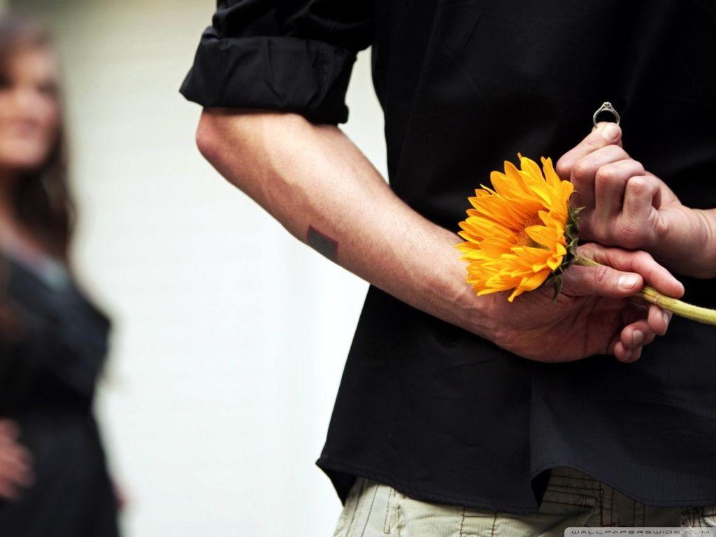 Will You Marry Me? HD desktop wallpaper, High Definition