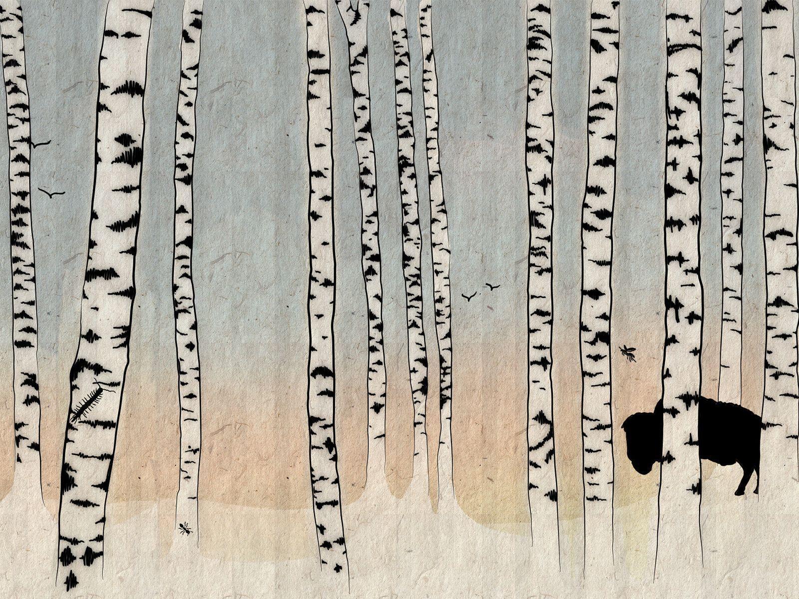 Birch Wallpaper, 38 Birch Background Collection for Mobile