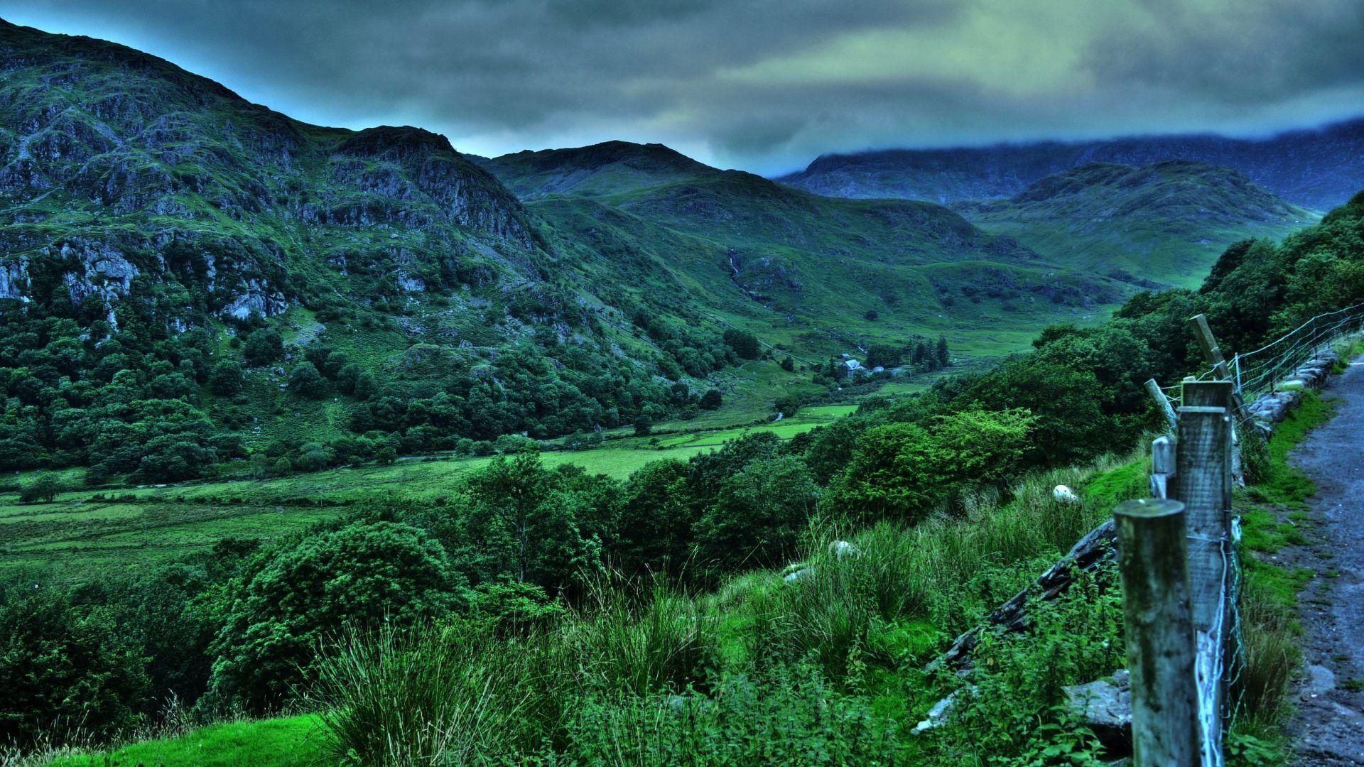 Shrubs Tag wallpaper: Design Shrubs Pollok Park Country
