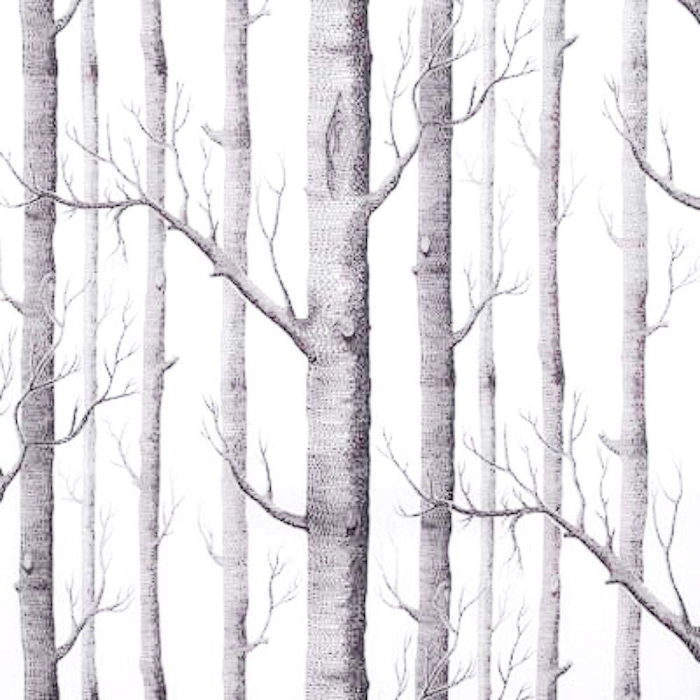 Birch Tree. Lin Chen Photography
