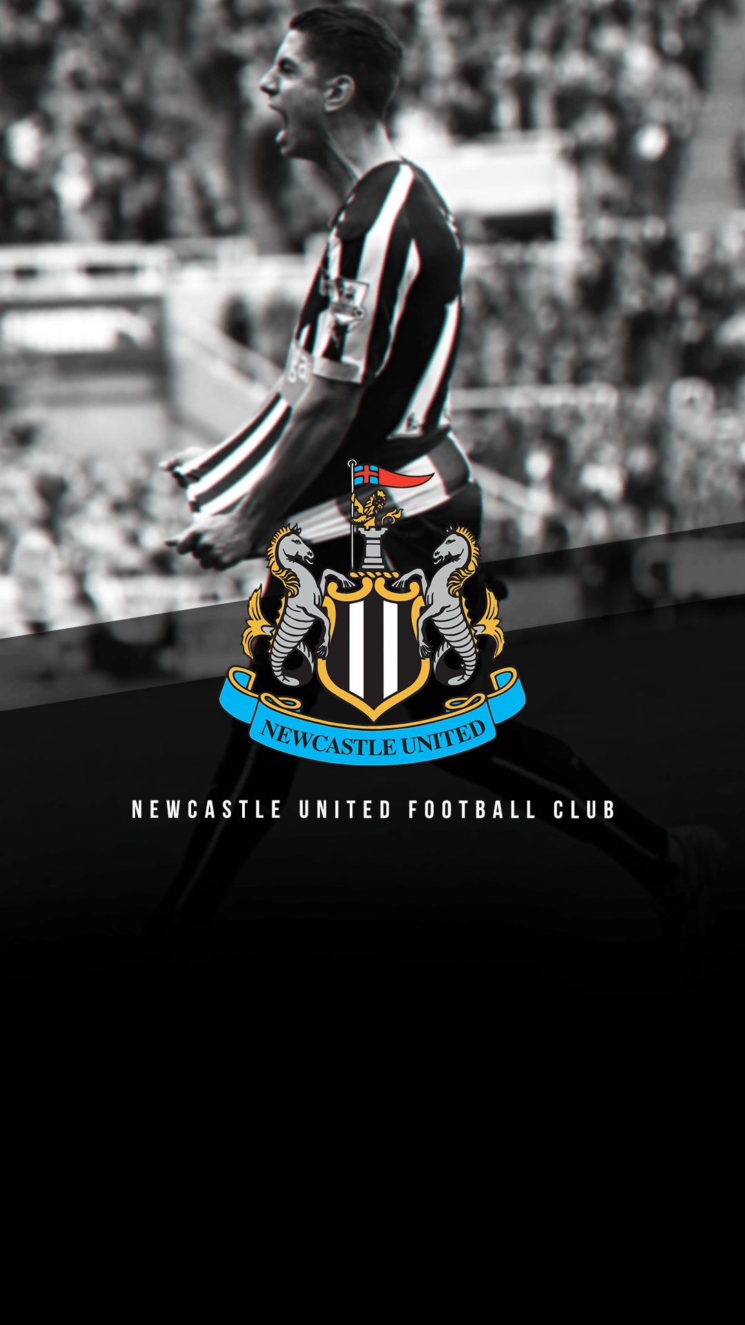 Newcastle Fc Wallpaper - 21 Nufc Wallpapers On ...