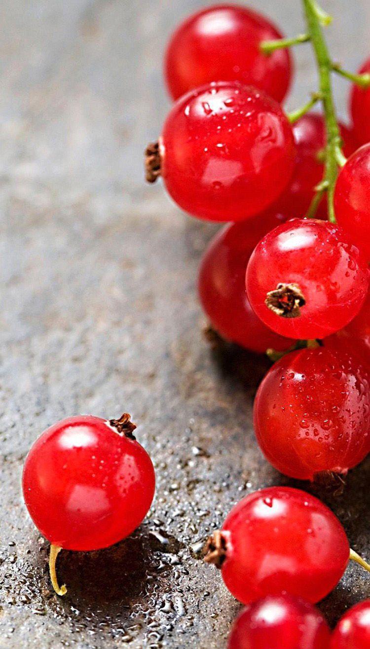 Juicy red cherry fruits iphone mobile wallpaper background. iPhone