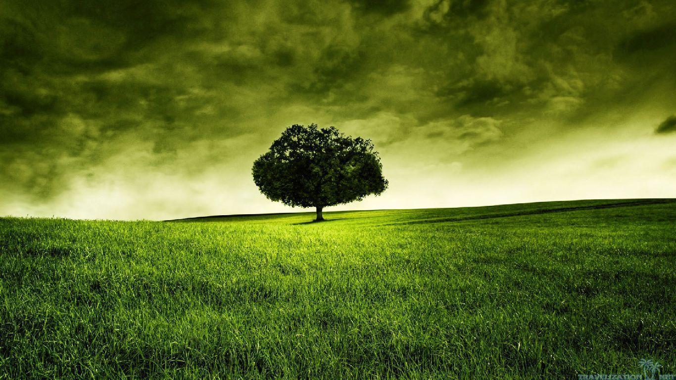 Rural Scene Wallpapers - Wallpaper Cave