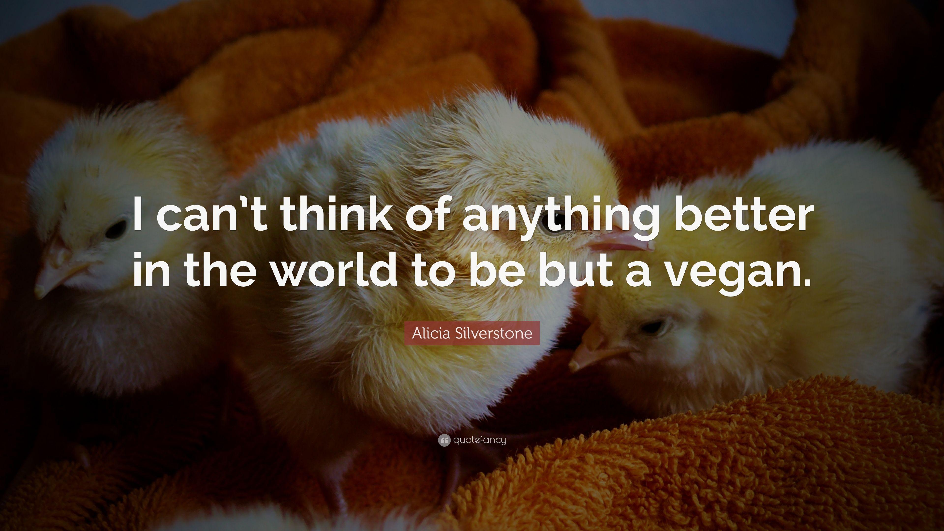 Alicia Silverstone Quote: “I can't think of anything better in