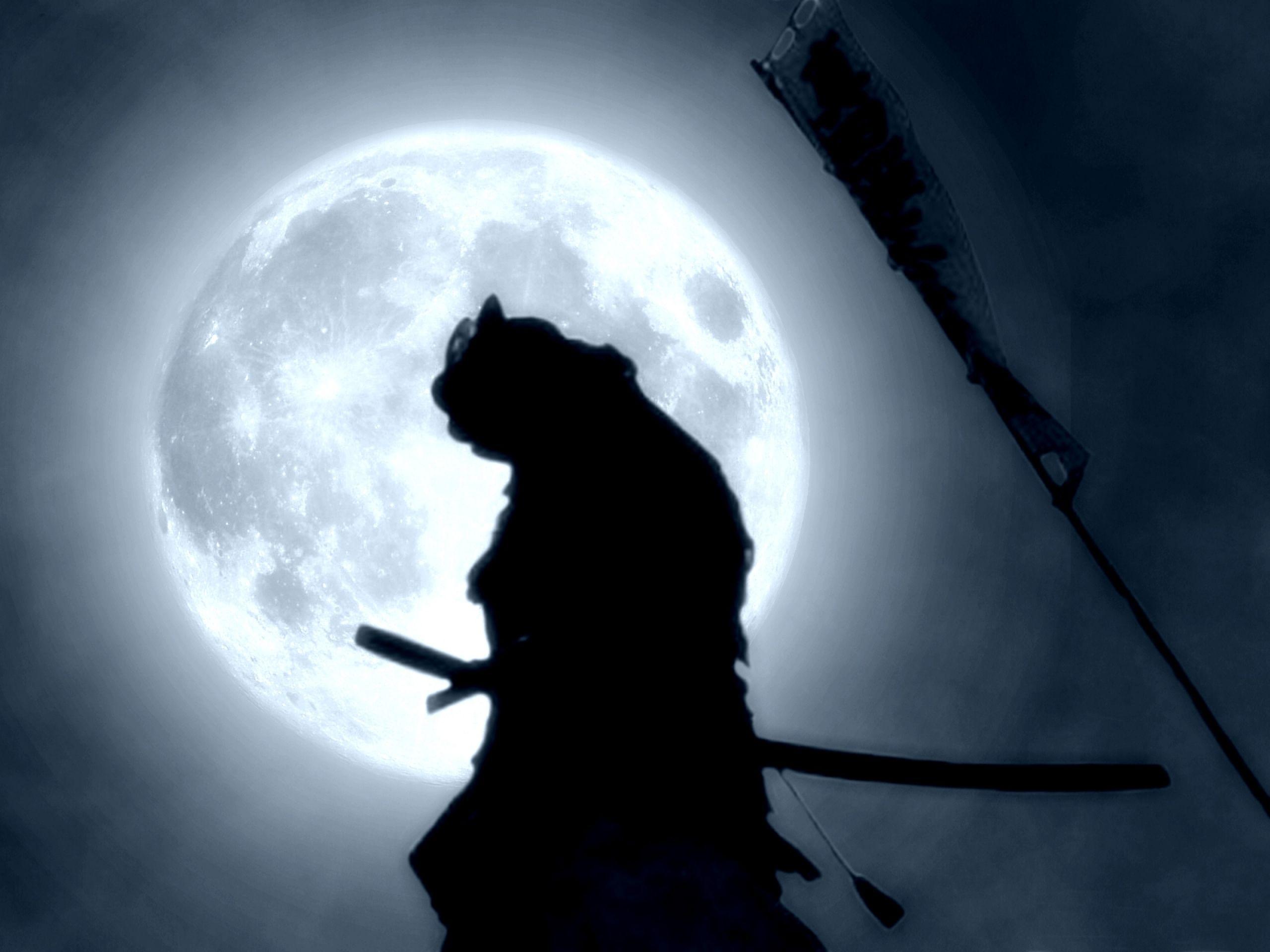 Samurai HD Wallpaper and Background Image