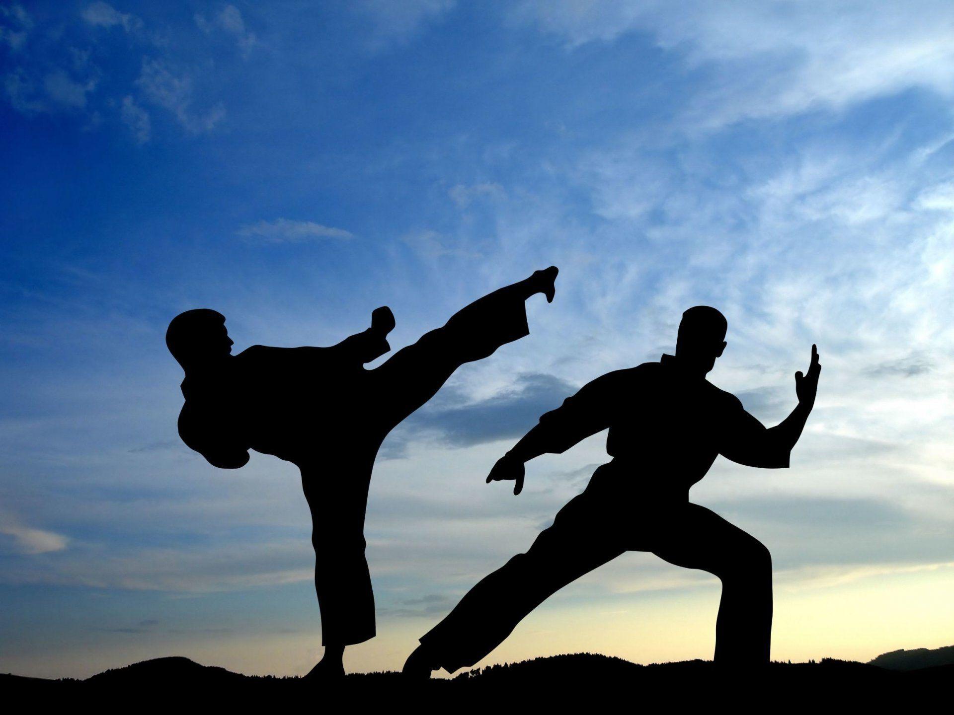 sports karate fight outright shadow silhouettes men strike martial