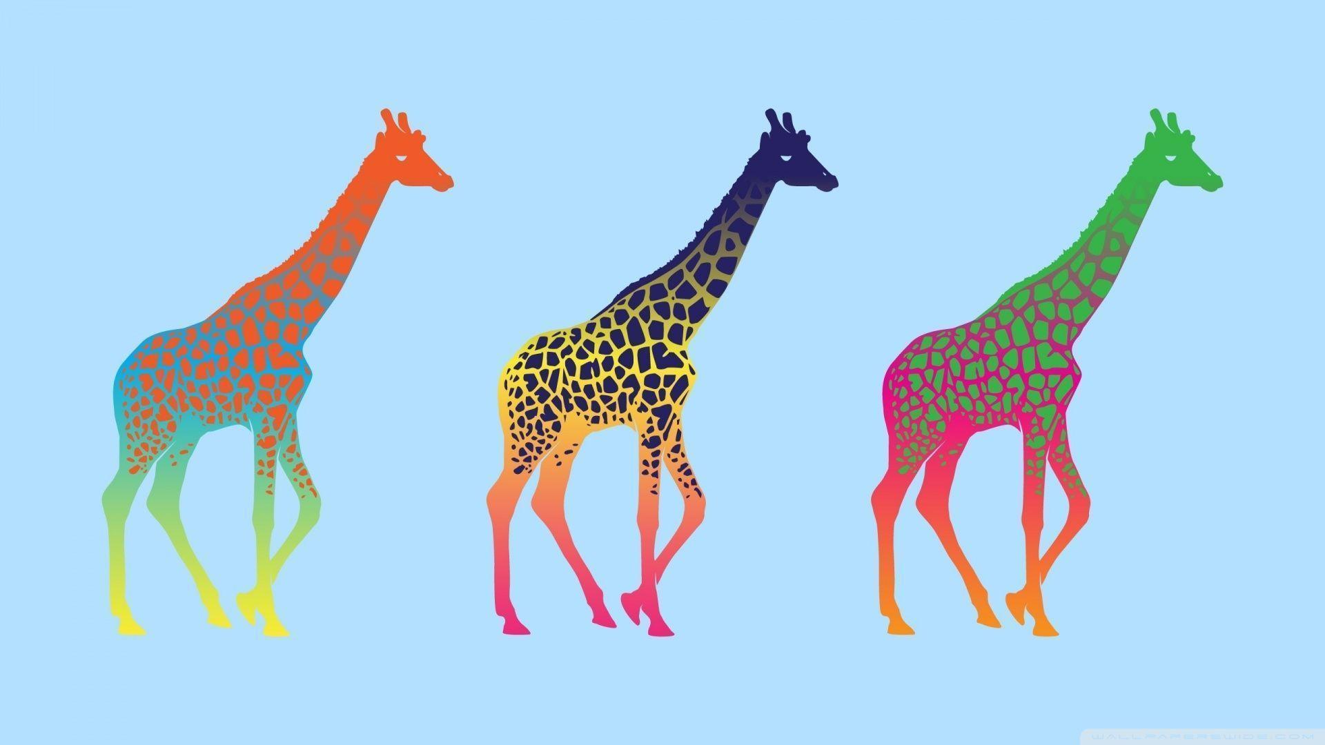 Giraffes HD desktop wallpaper, High Definition