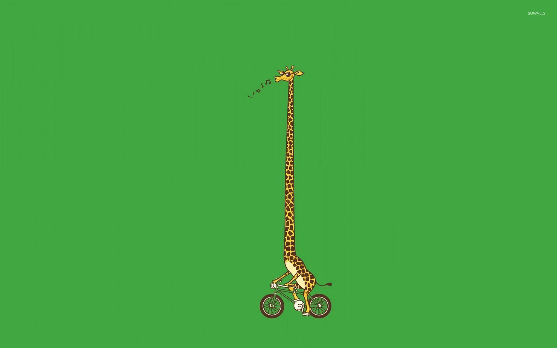 Biking giraffe wallpaper wallpaper