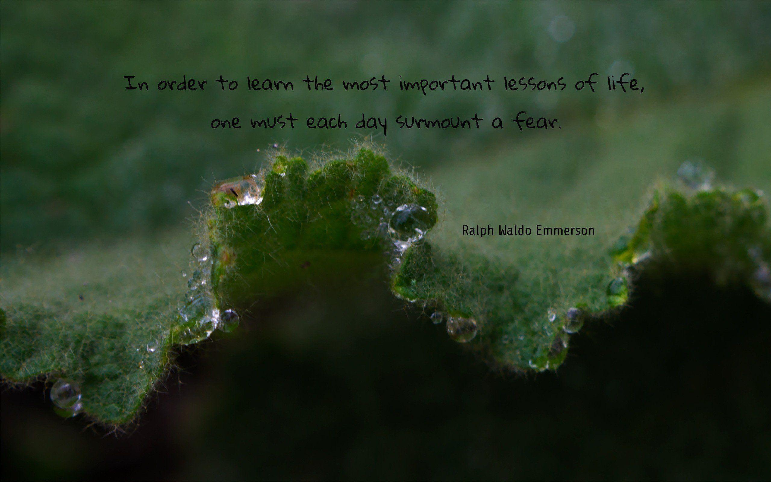 Love text quotes letters inspirational friendship learn order