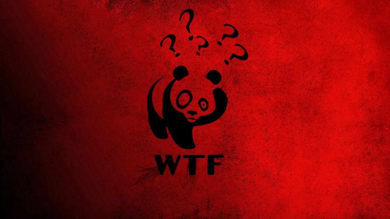 Panda, China, Red, Wtf, Question Mark, Winnie The Pooh