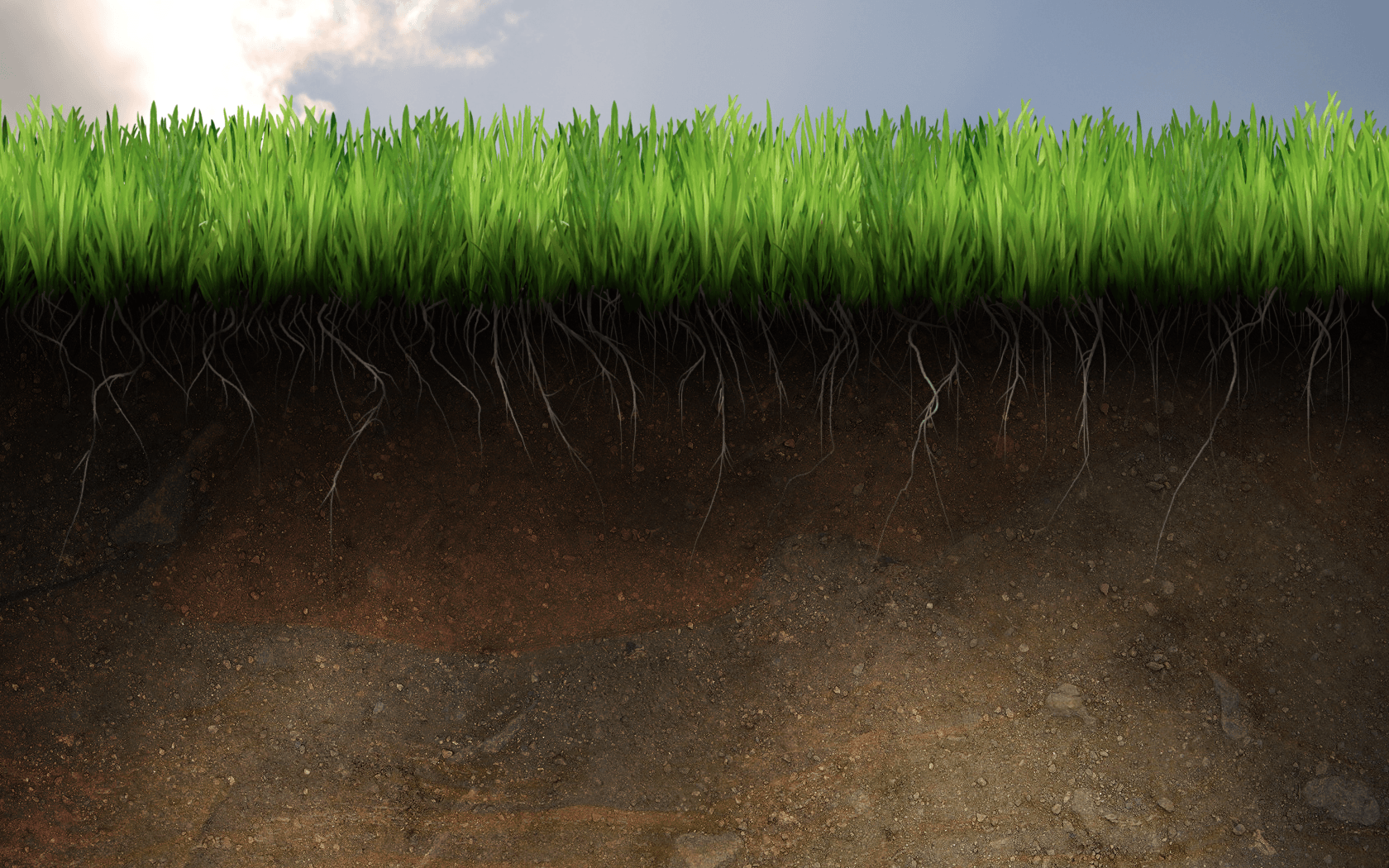 V.75: HD Image of Soil, Ultra HD 4K Soil Wallpaper