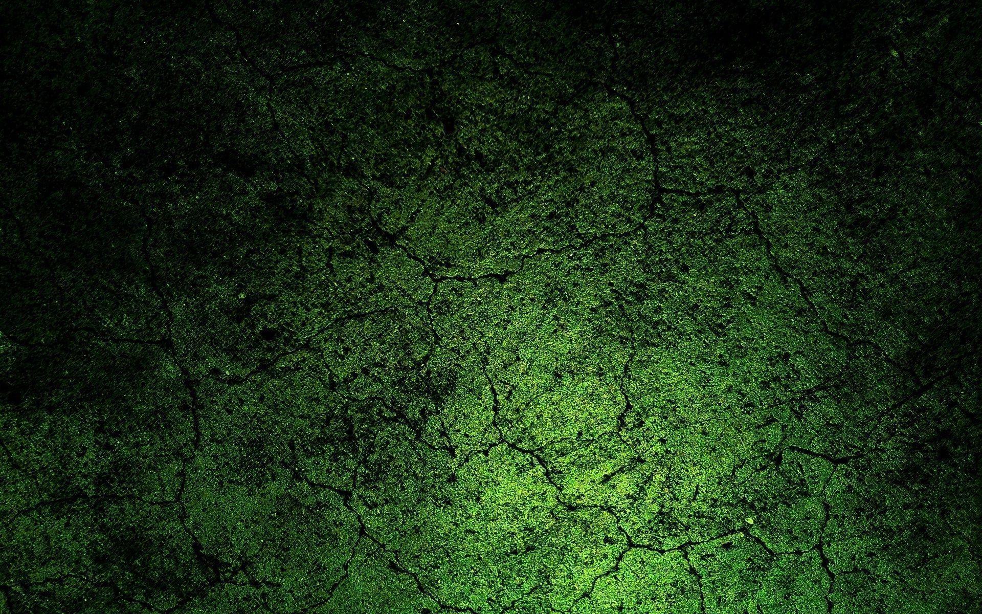 Green Cracked Soil Wallpaper