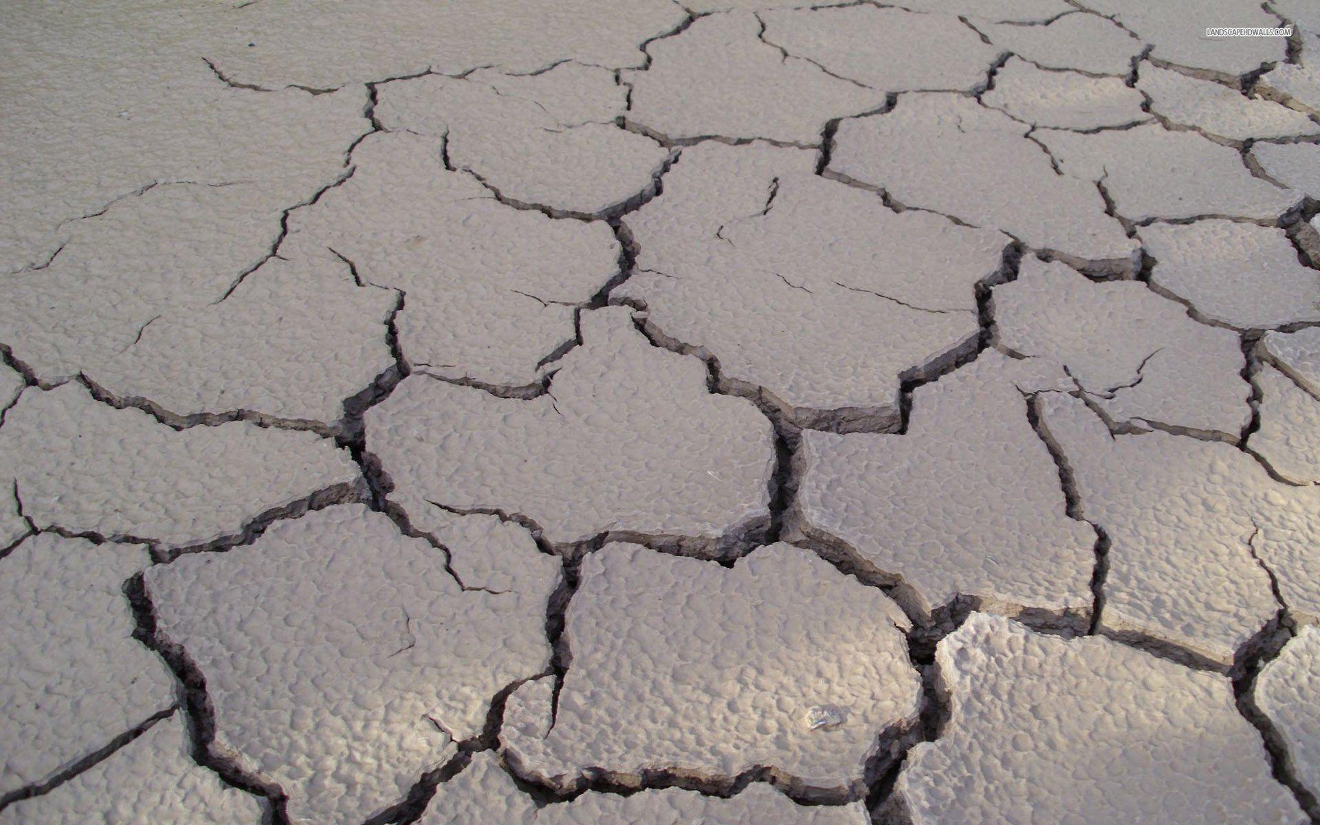 Cracked Soil In The Desert Wallpaper
