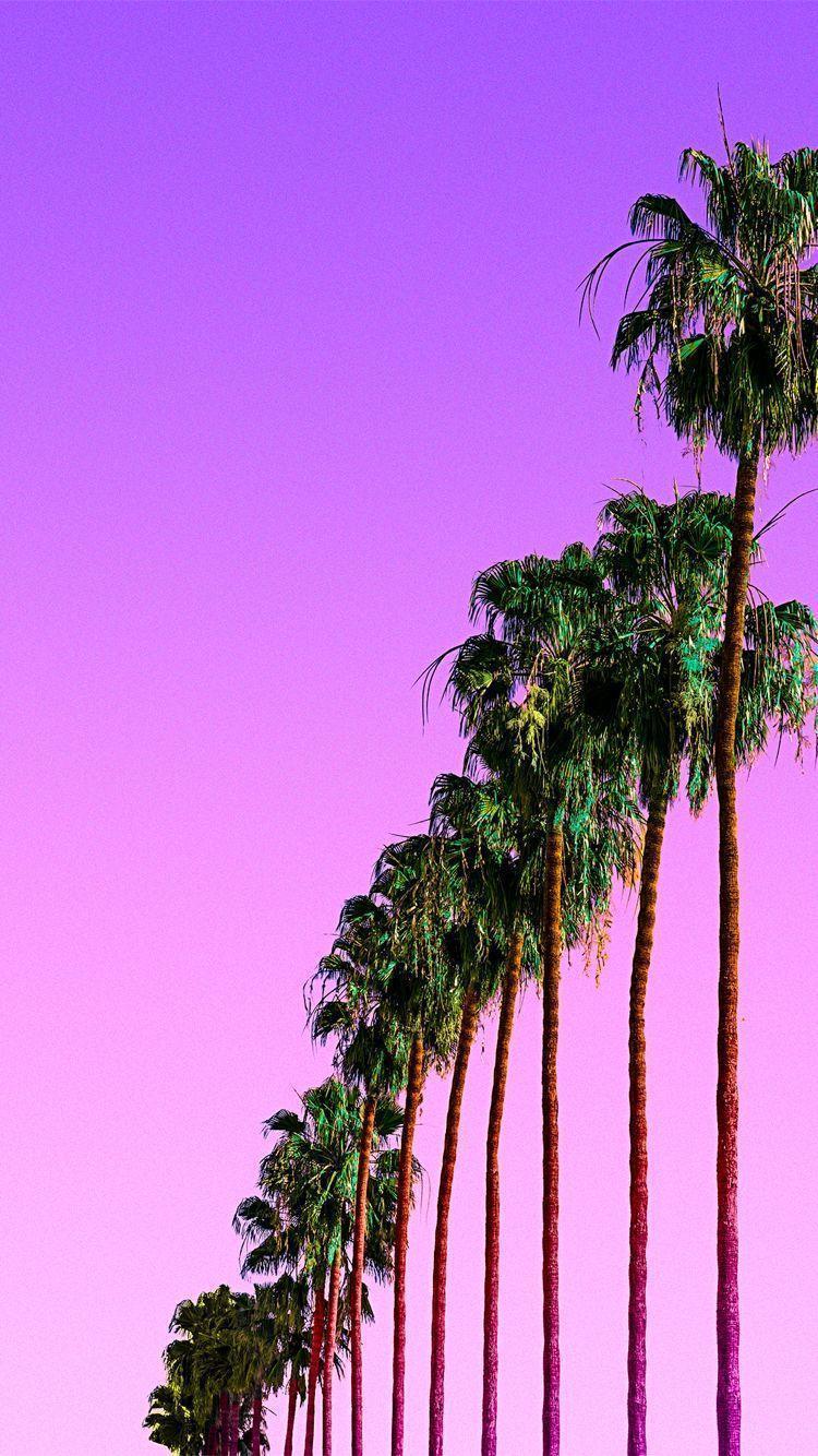 Purple palms iPhone wallpaper. BG. Summer, Style