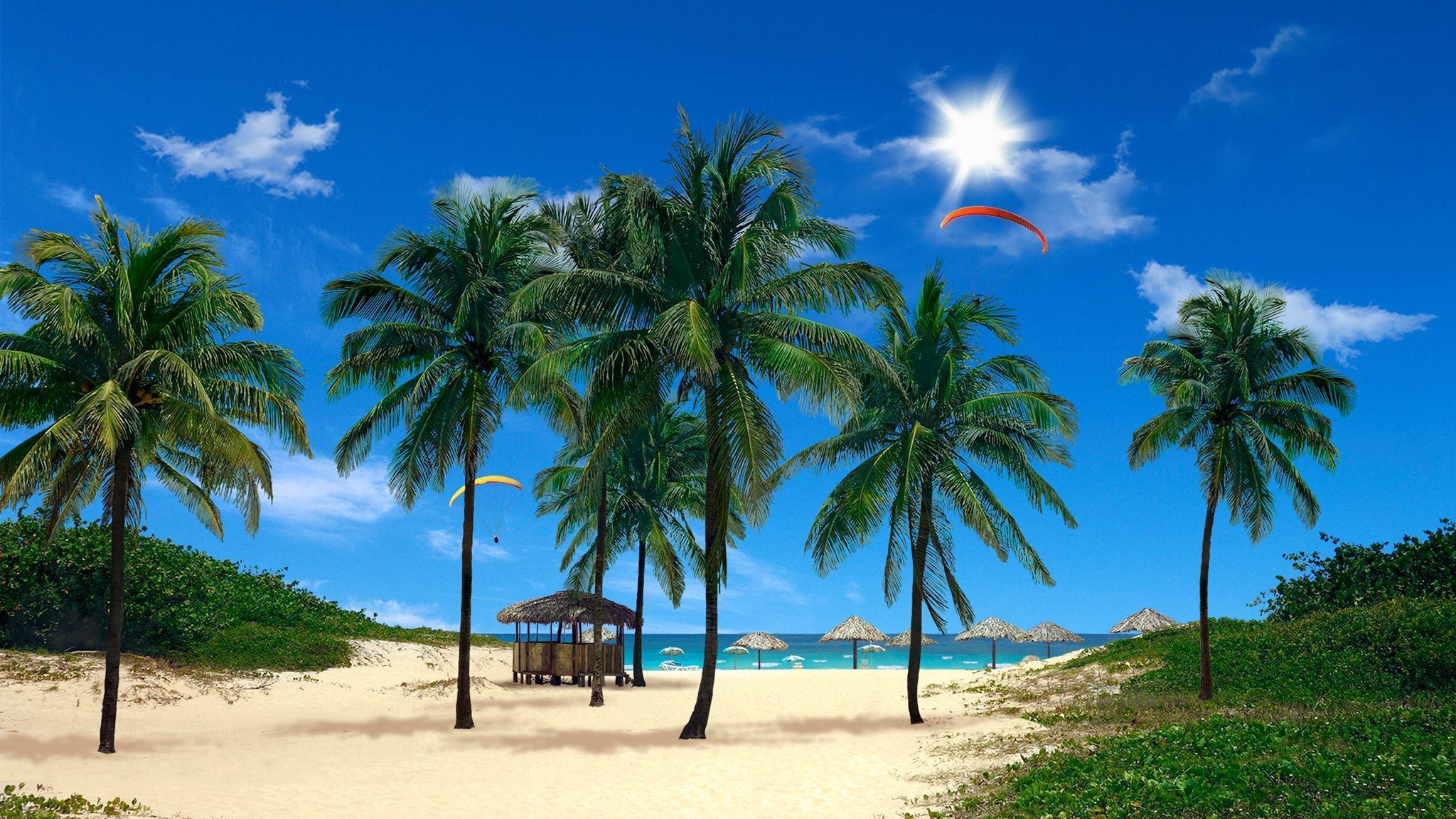 Real Snowfall & Beach Palms 3D are two live wallpaper to spruce