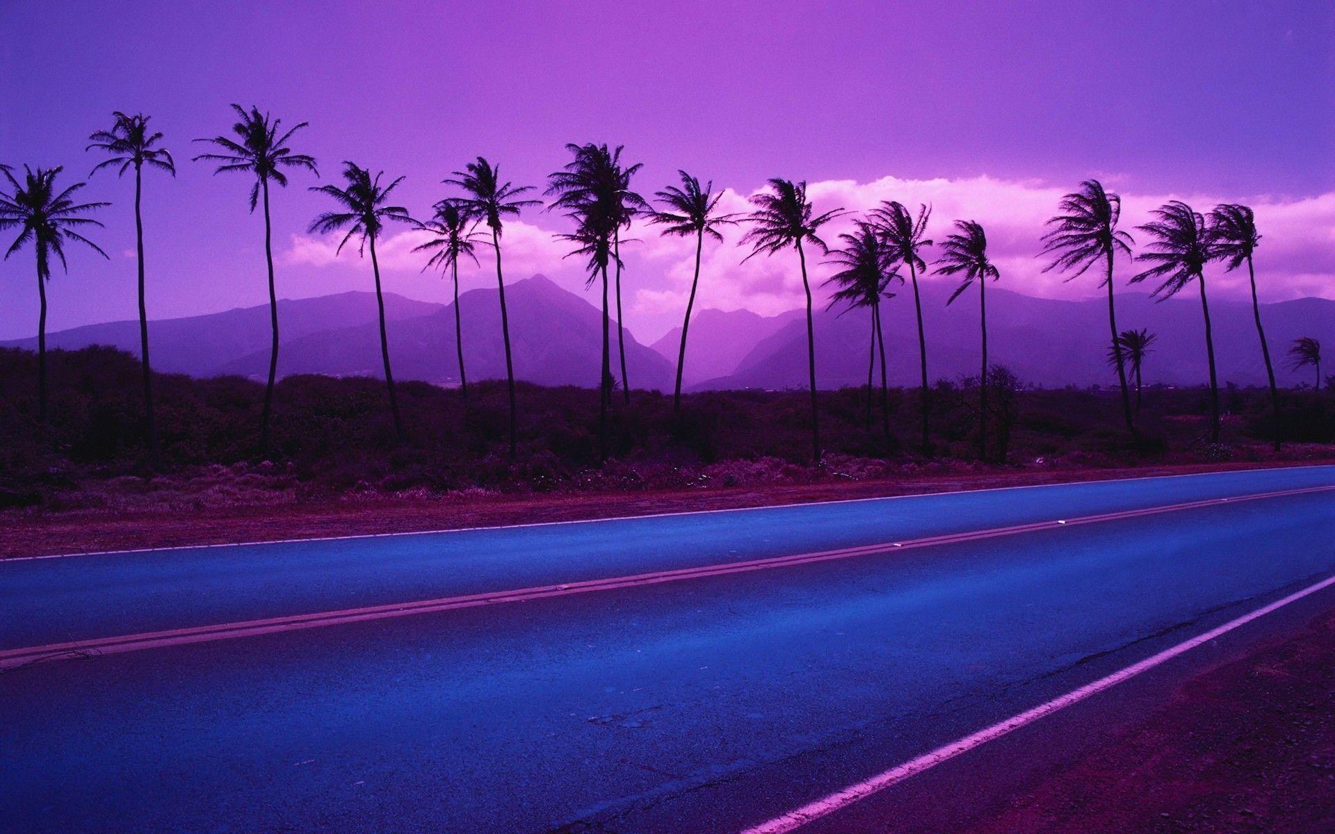 Wallpaper with Palm Trees