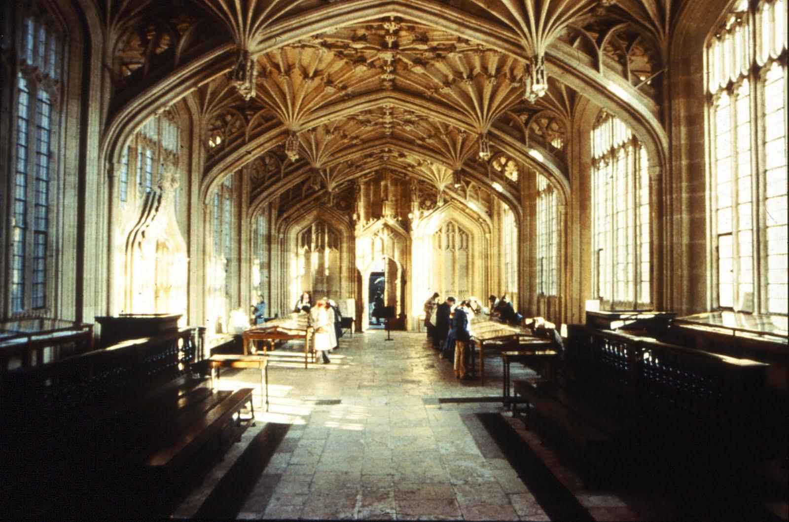 Panthers Wallpaper, Amazing HD Panthers Picture & Background, SHX.I