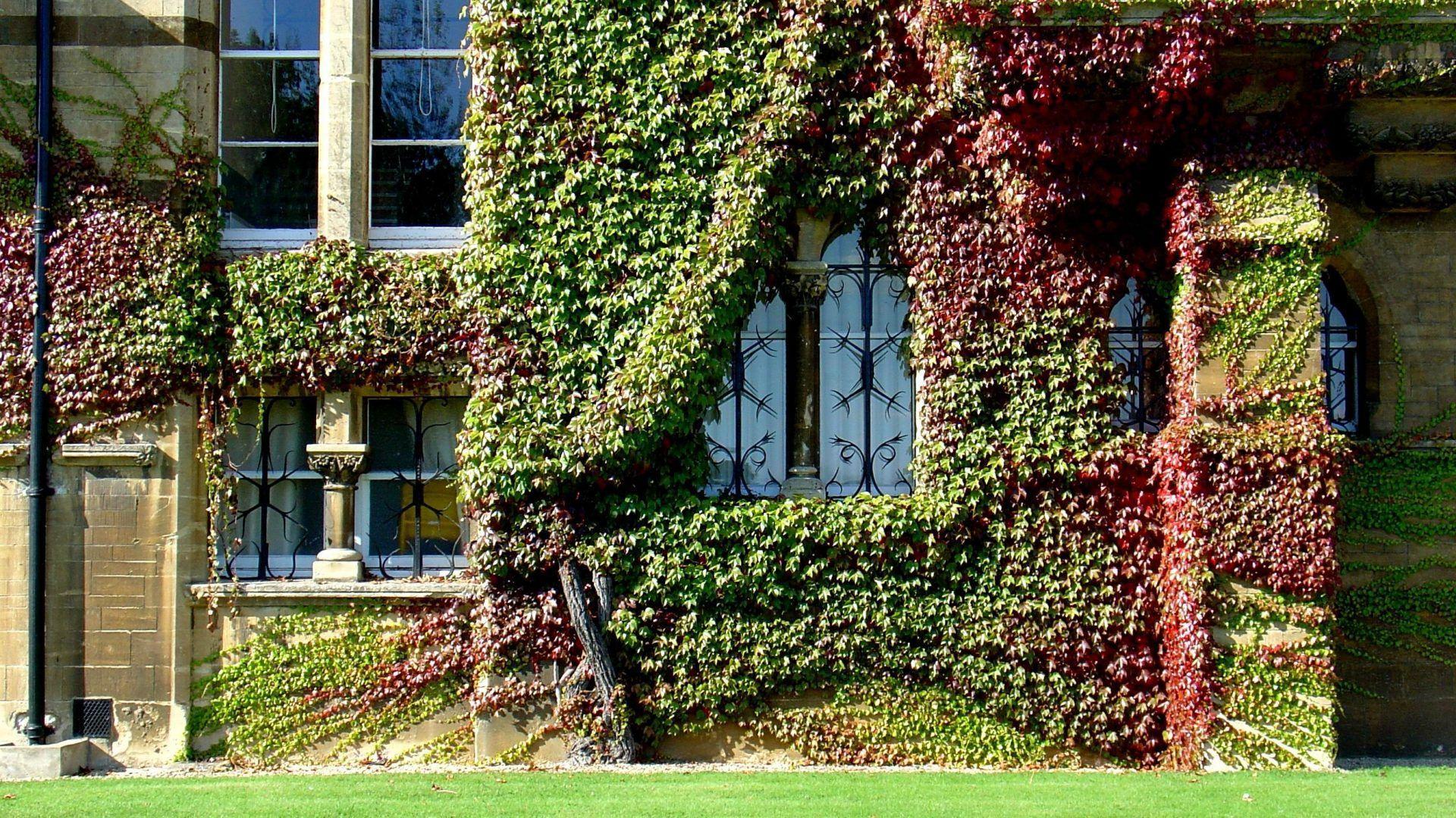 Oxford Tag wallpaper: St Aldates Tavern Uk Oxford Picture. Keble