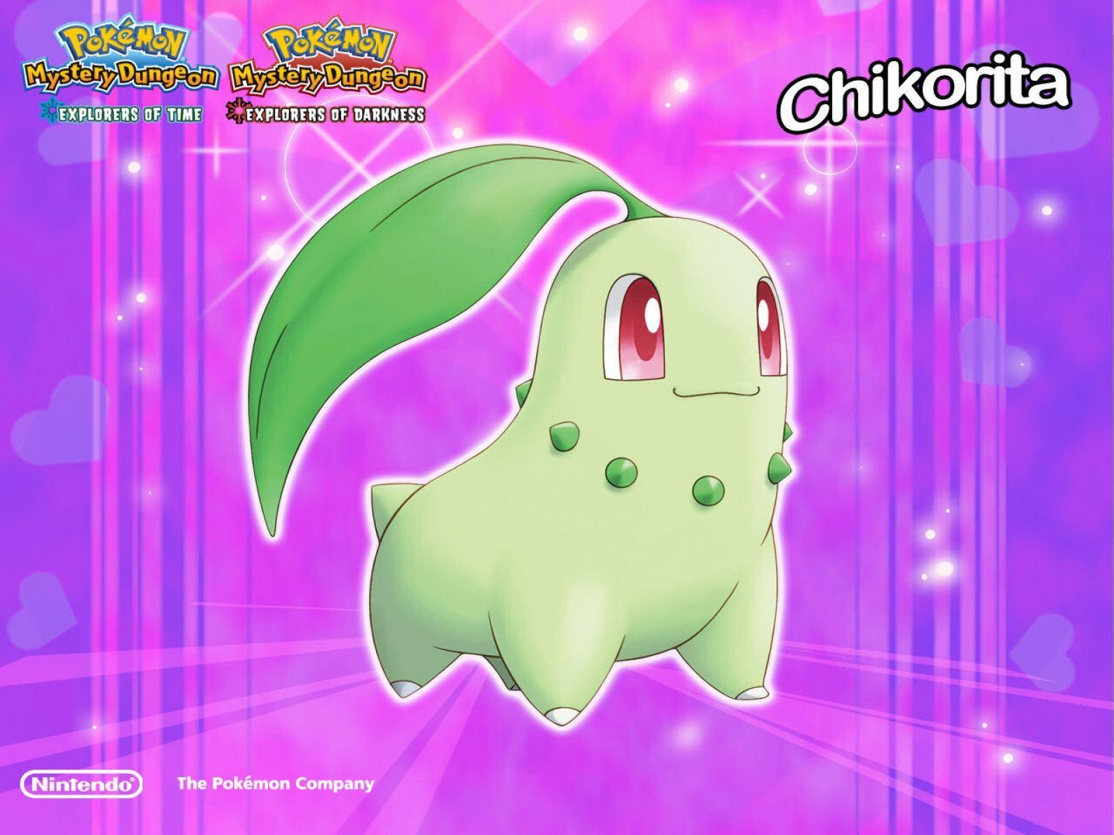 Chikorita Wallpaper