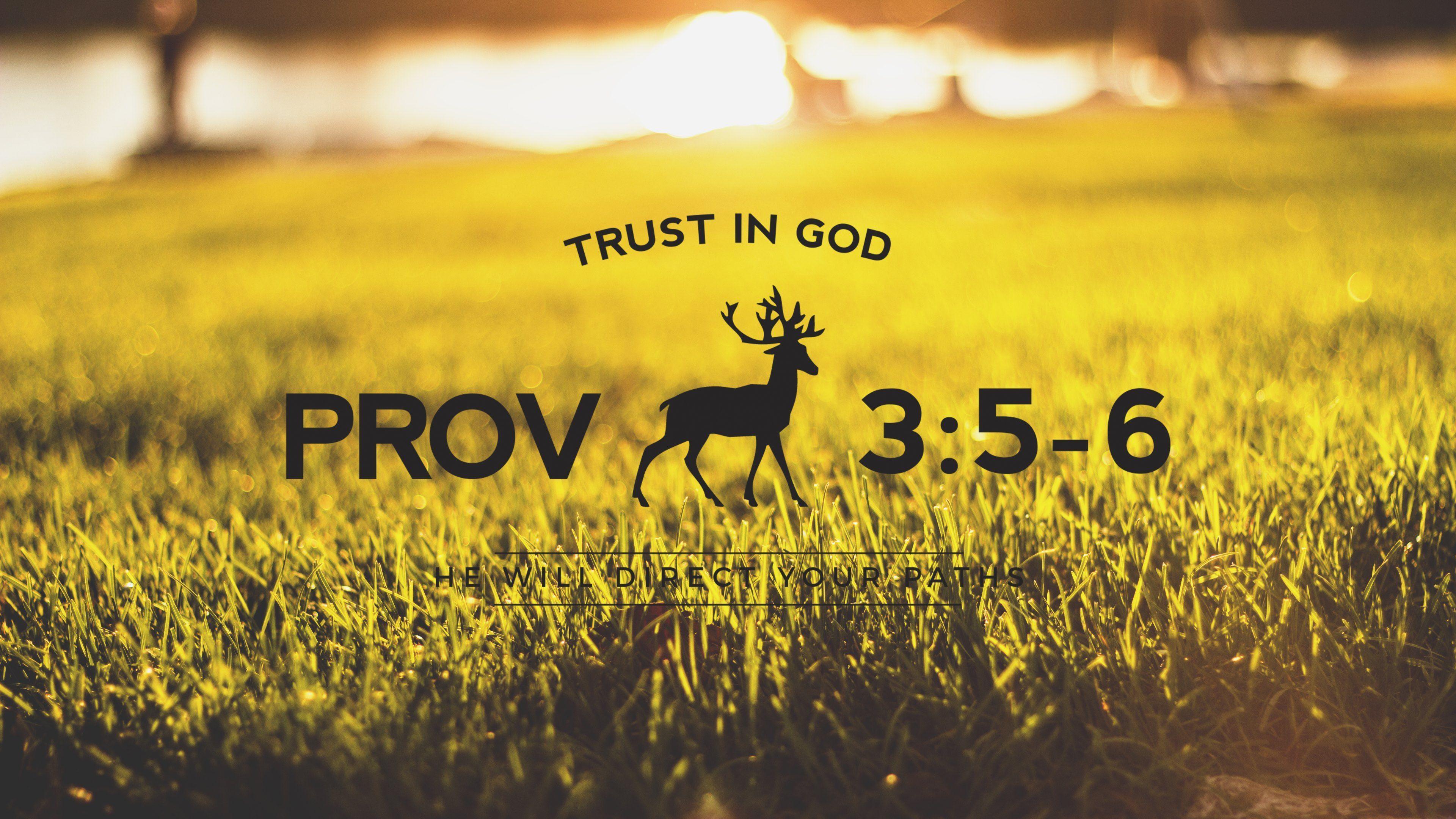 Trust in God Wallpaper · HD Wallpaper