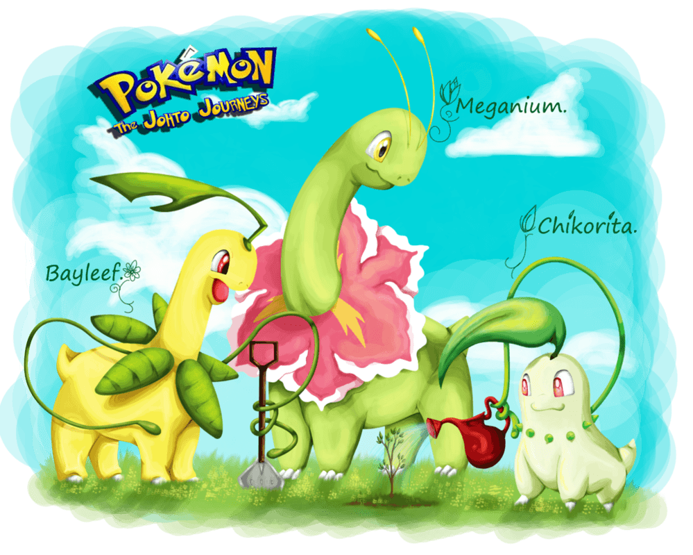 Meganium Wallpapers.