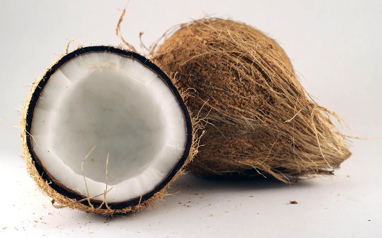 Fantastic HD Coconut Wallpaper