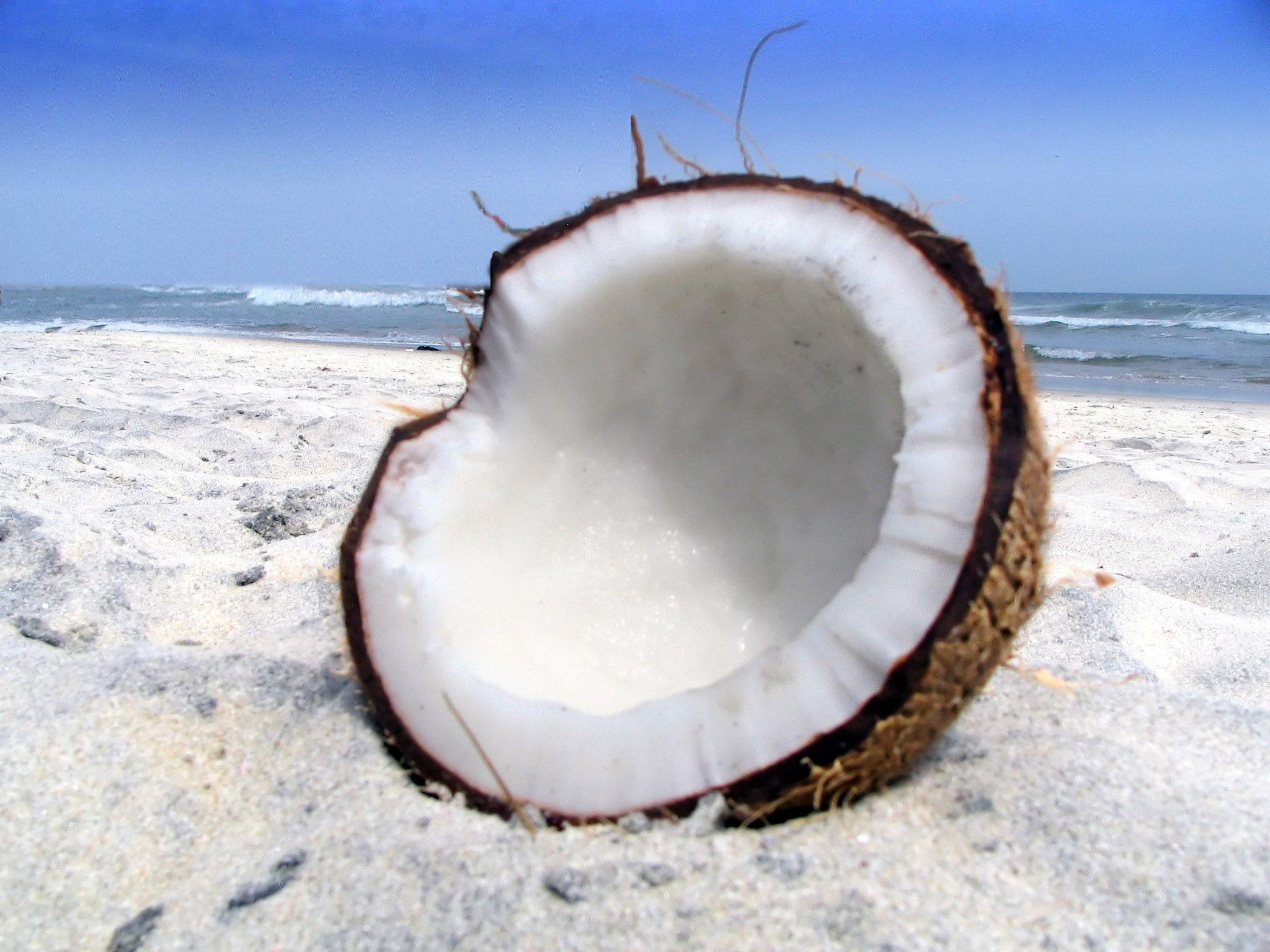 Coconut HD Desktop Wallpaper