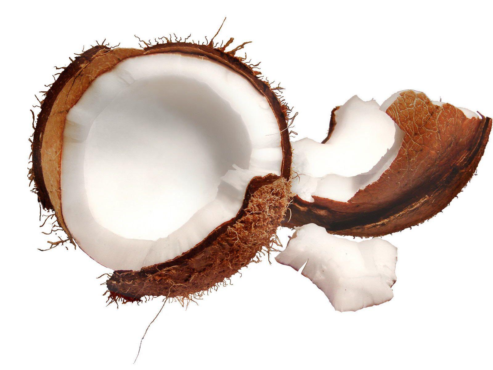 Coconut HD Desktop Wallpaper