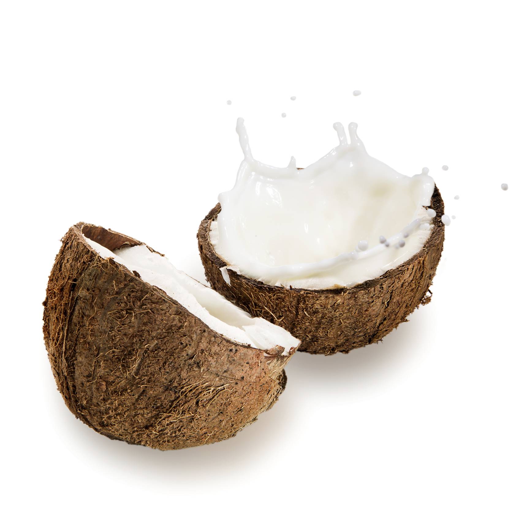 Coconut HD Desktop Wallpaper