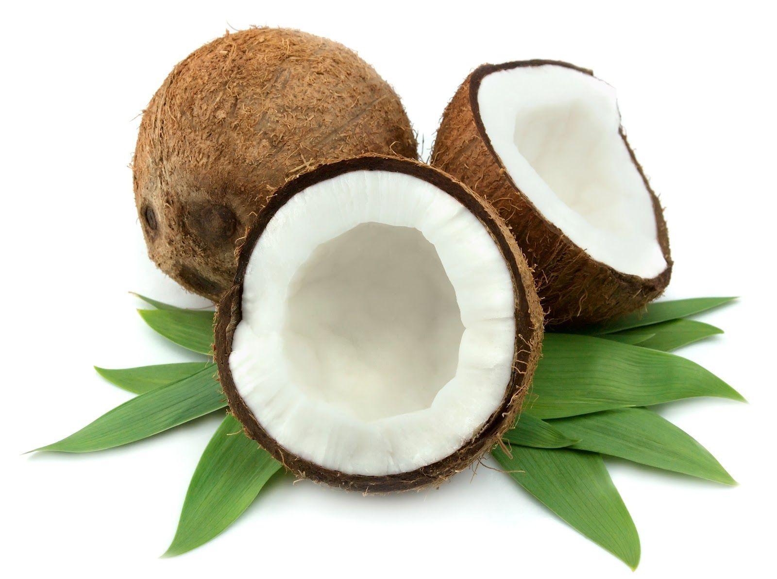 Coconuts Wallpaper High Quality