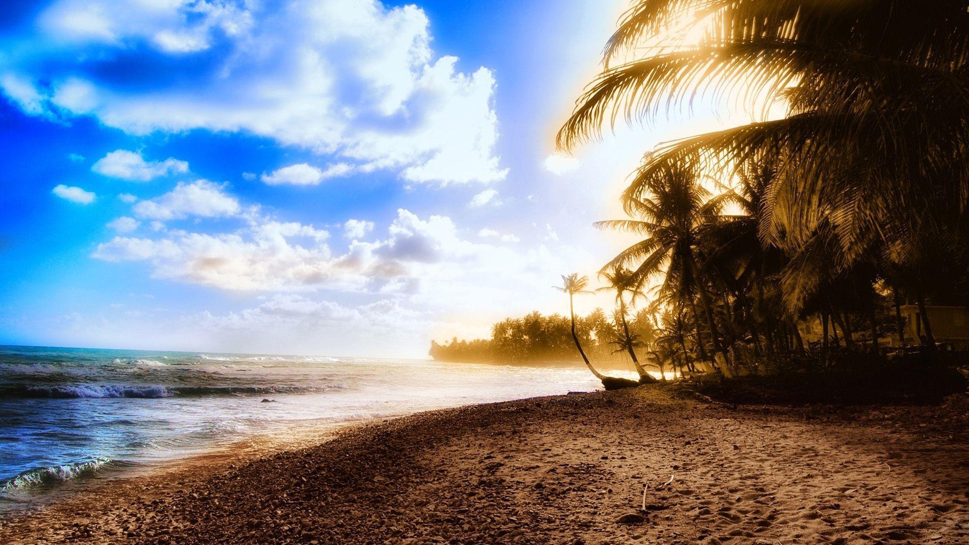 Summer beach and seaside coconut Wallpaper, Beach Picture and image