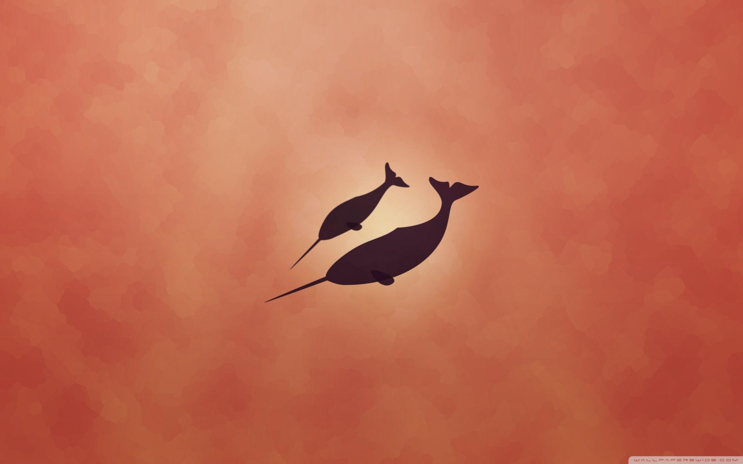 Narwhal Wallpapers - Wallpaper Cave