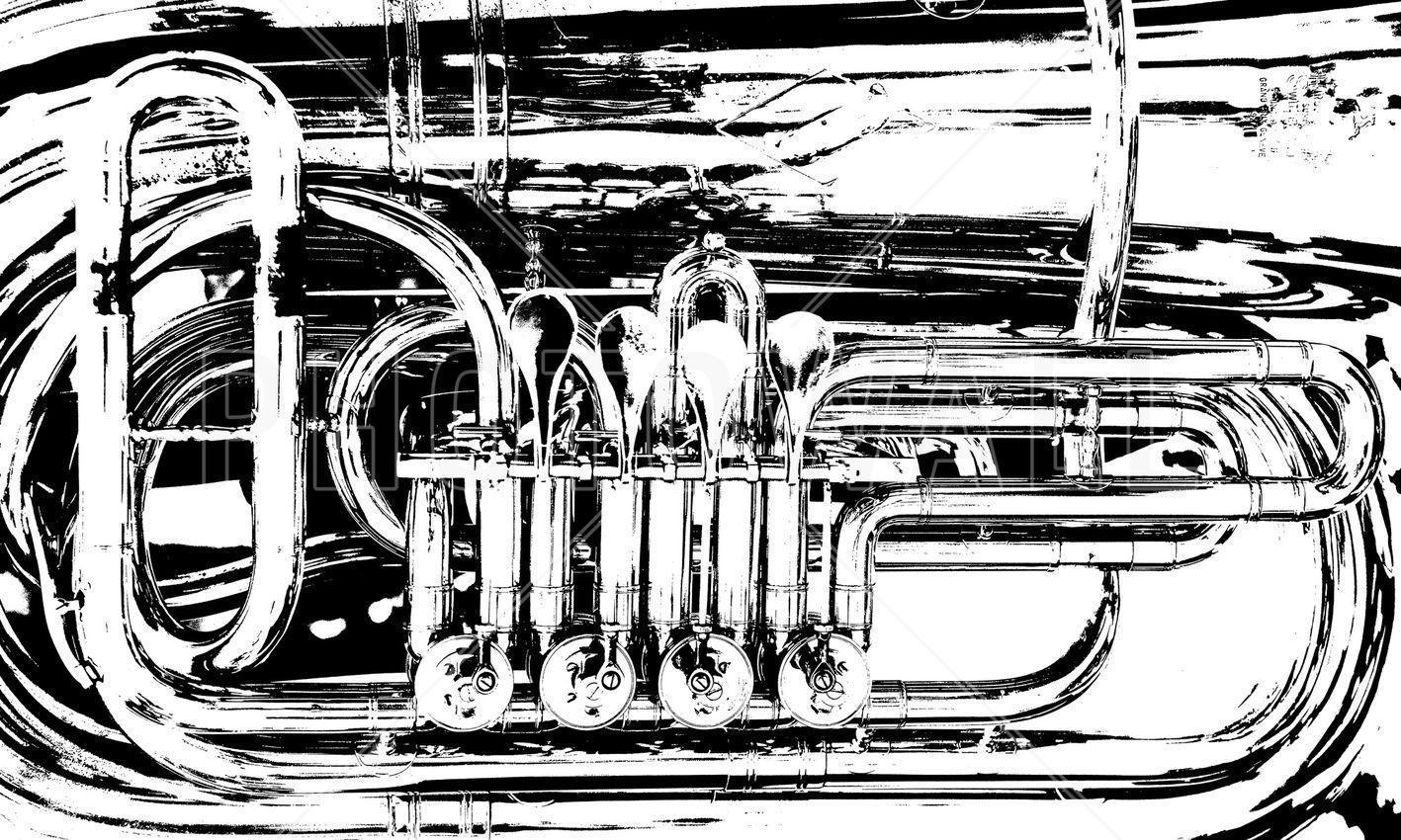 Brass Horn Valve Tuba Print & Canvas Art