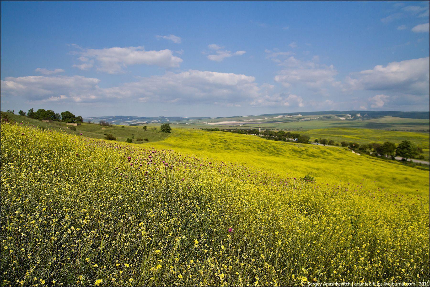 Beautiful set of wallpaper “Summer in Ukraine” · Ukraine travel blog