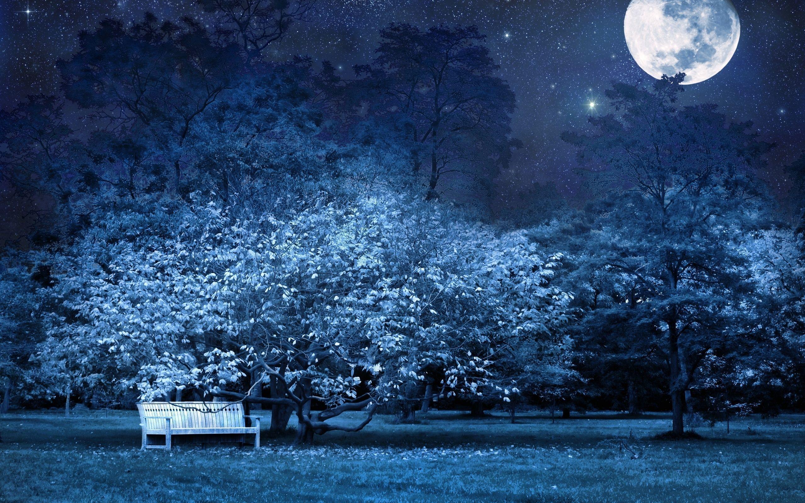 Wallpaper Night, Bench, Park, Trees, Stars, Full moon, Sky, Light