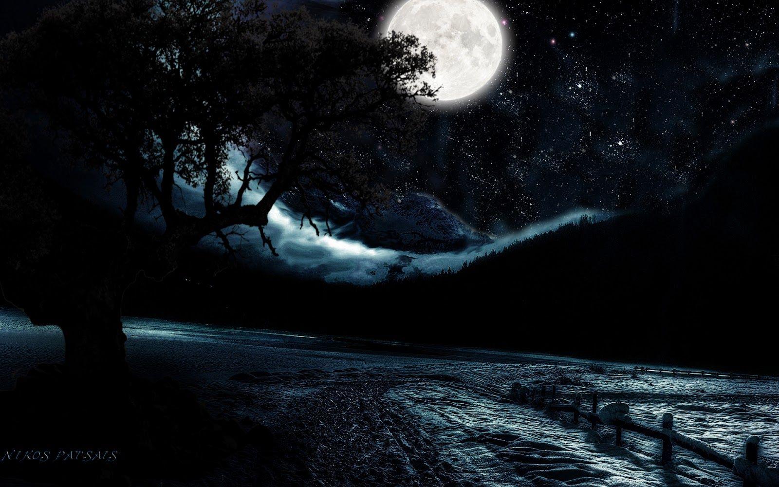 Moon light and stars night background with trees nature art image