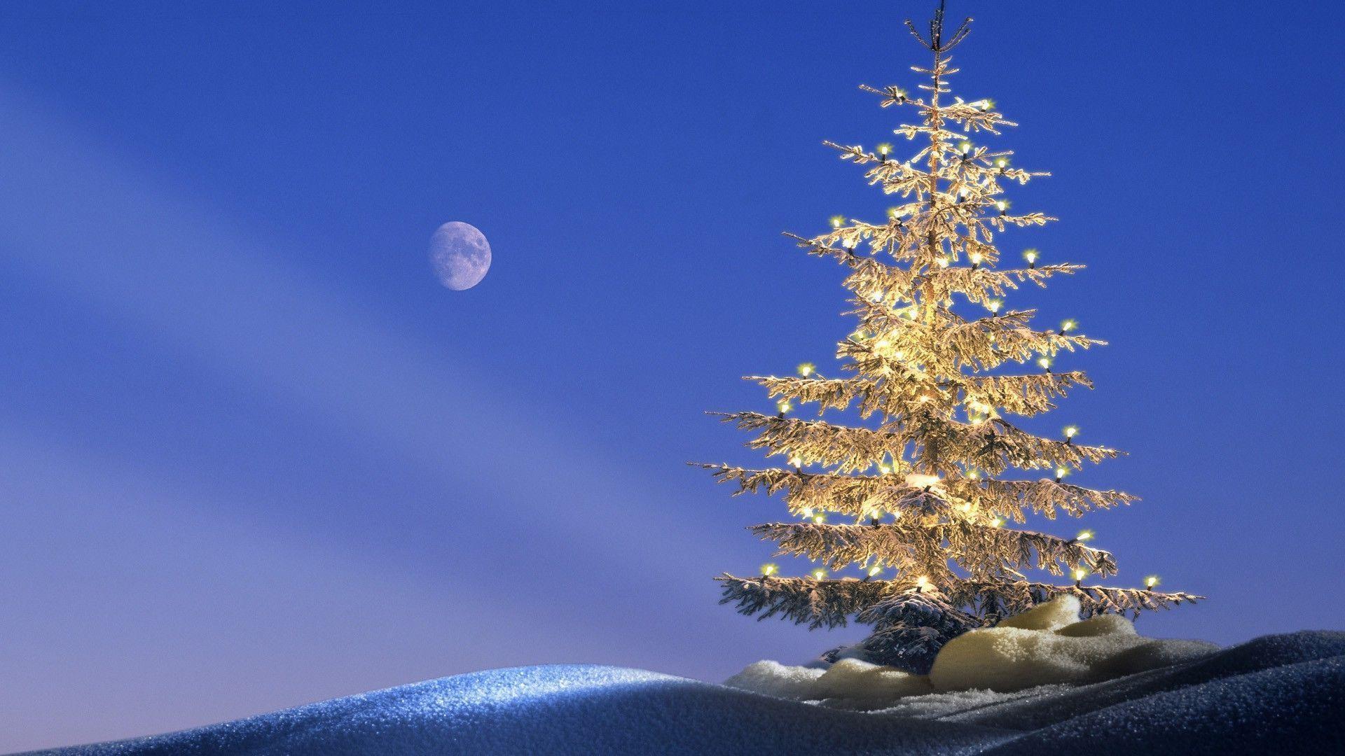 Happy Christmas Golden Tree Lights Snow Moon HD Wallpaper