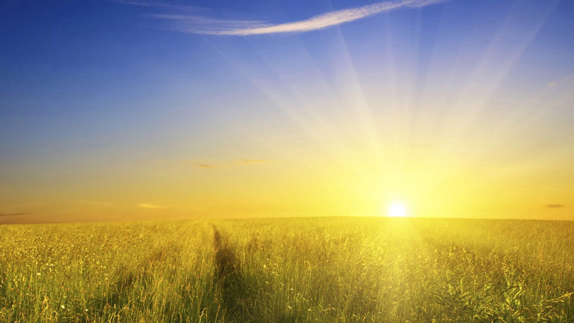 Sunshine Wallpaper, Sunrise Background, Image, Picture