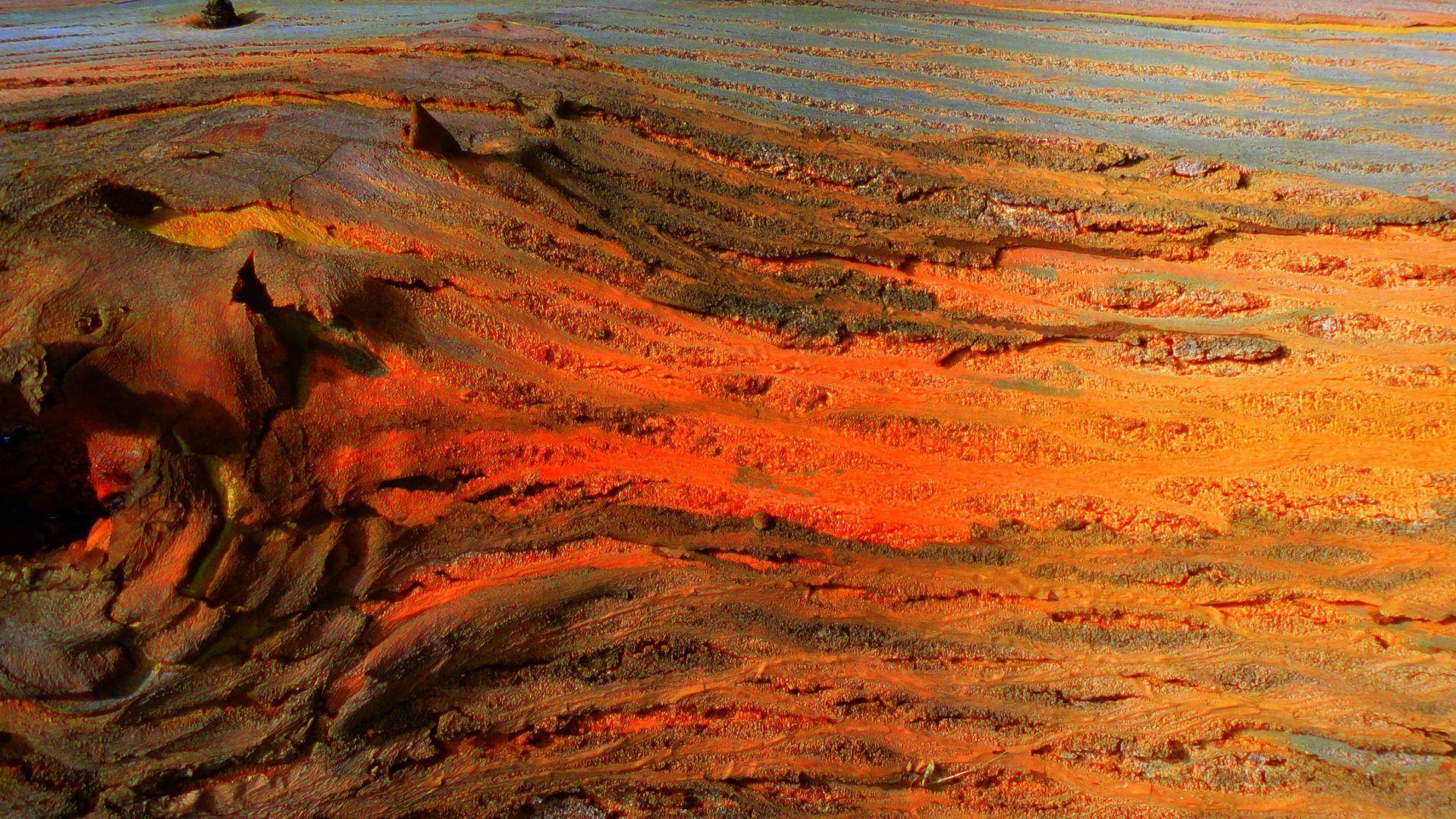 Glory Tag wallpaper: Nature Bark Heat Tree Glory Wallpaper Beach