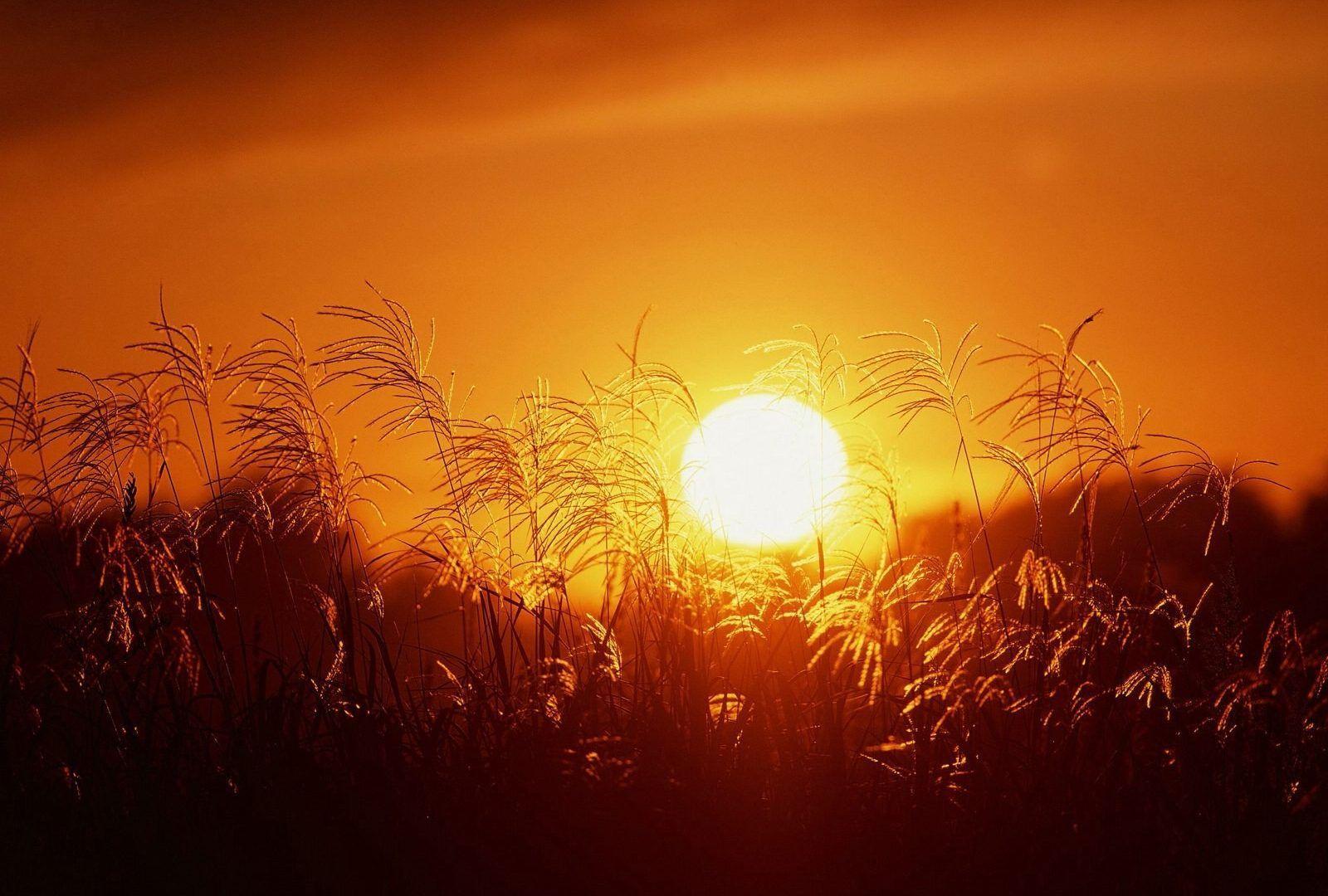 Glory Wallpapers - Wallpaper Cave