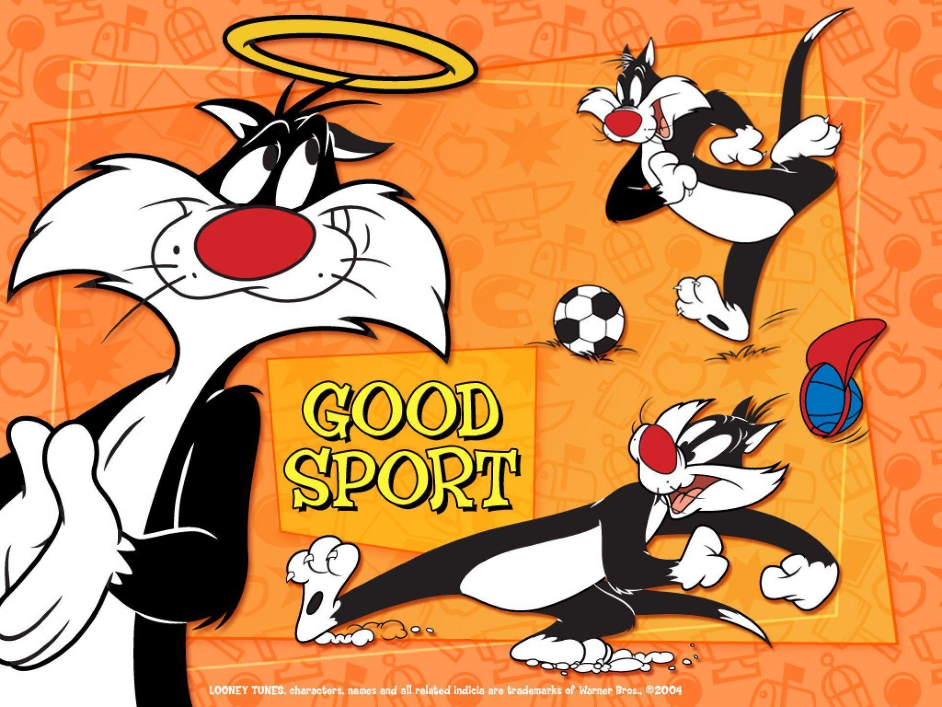 SYLVESTER looney tunes hd wallpapers