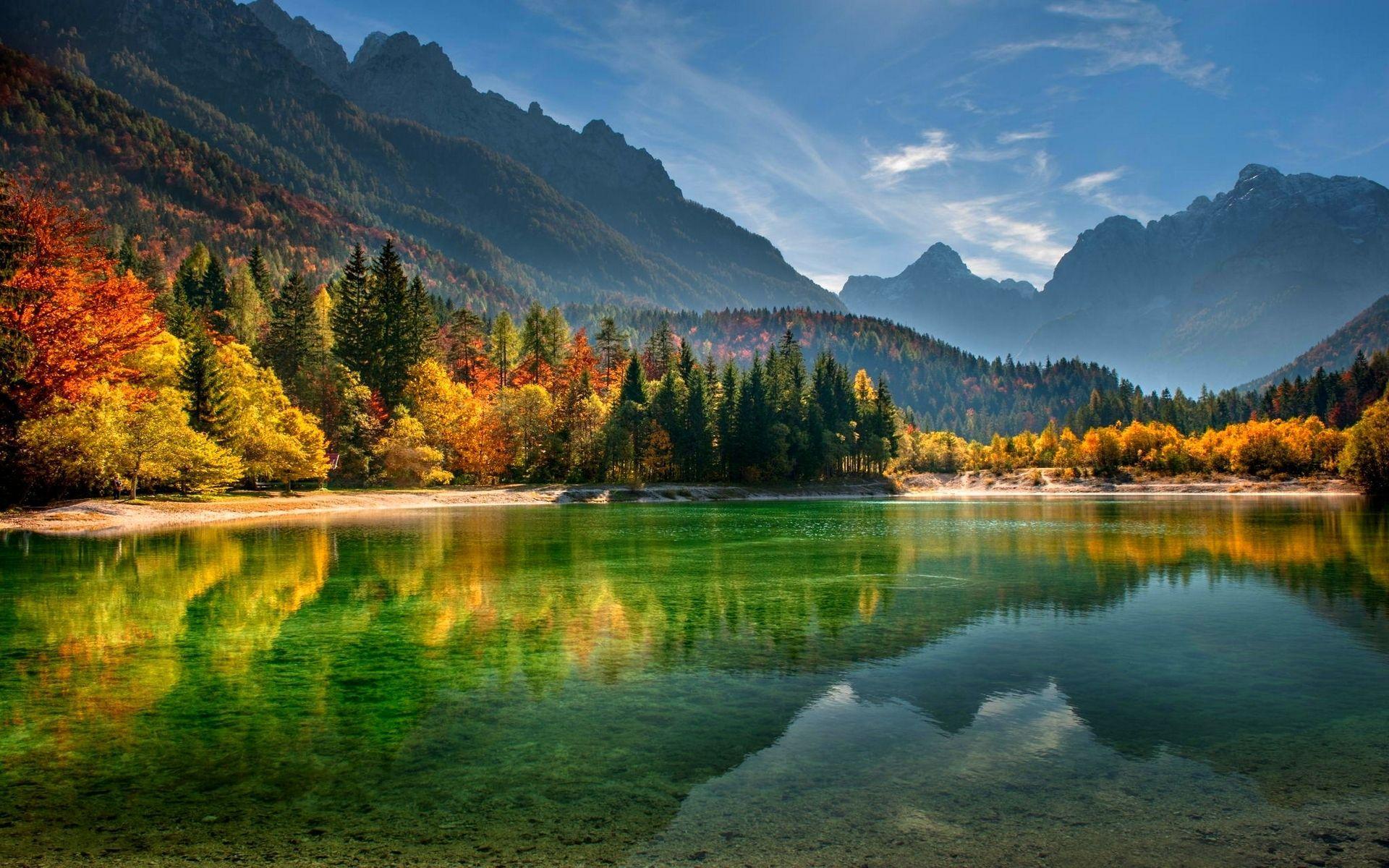 trees, reflection, beautiful, lakeside beach, autumn, forest, Slovenia, mist, mountains, water, lake wallpaper