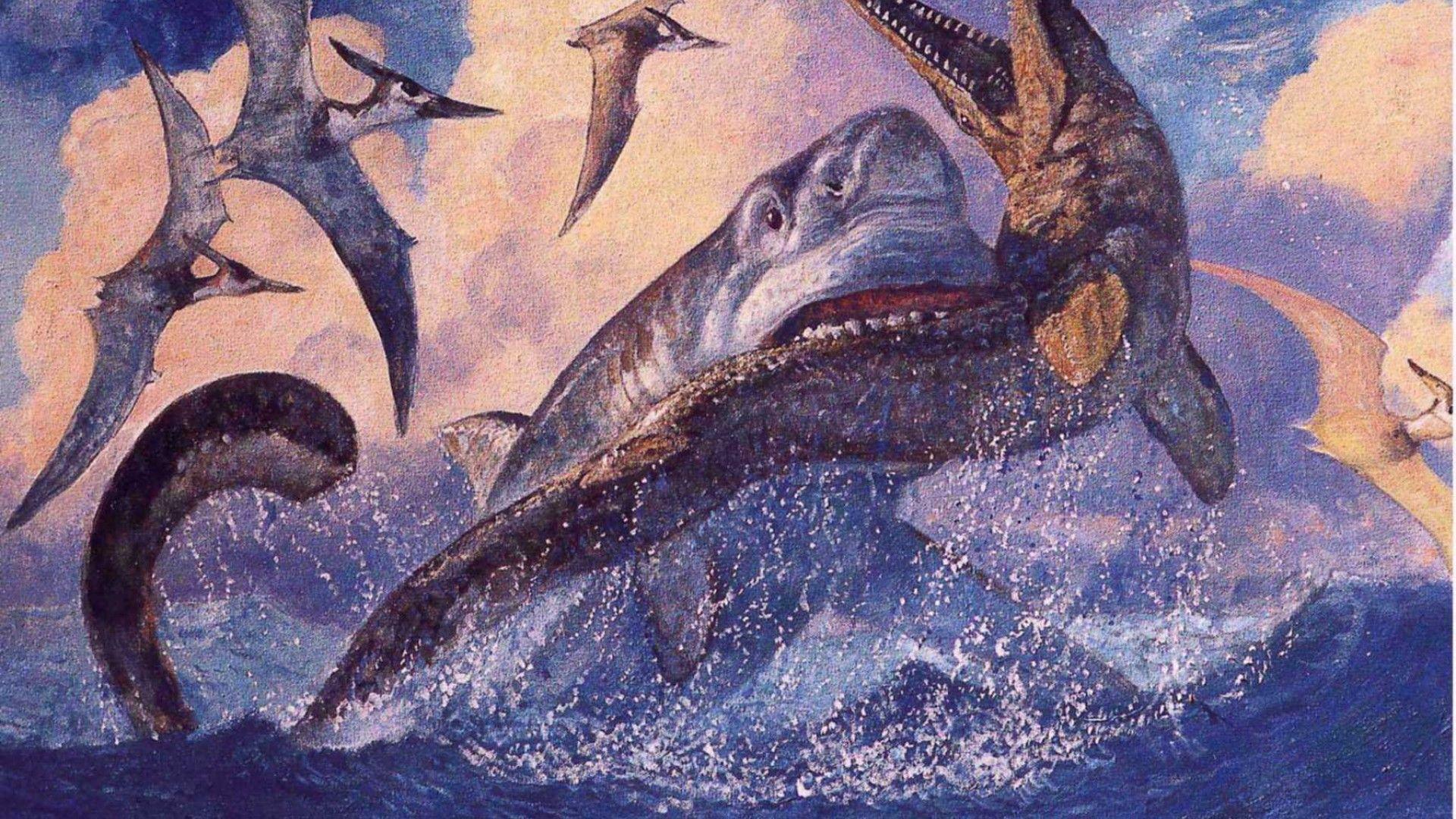 ScreenHeaven: Artwork great white shark megalodon shark desktop