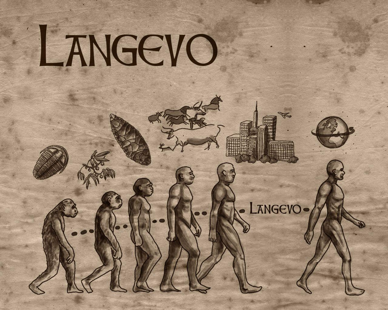 Langevo evolution Wallpaperx1024